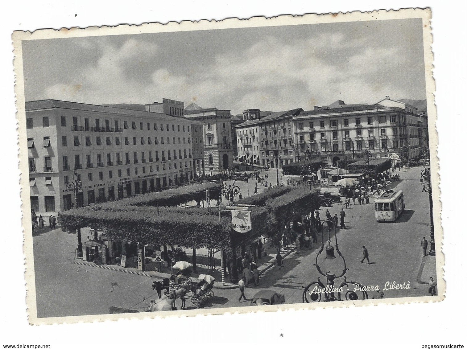 4631 - AVELLINO PIAZZA LIBERTA' ANIMATISSIMA CARROZZA FILOBUS 1950 CIRCA - Avellino