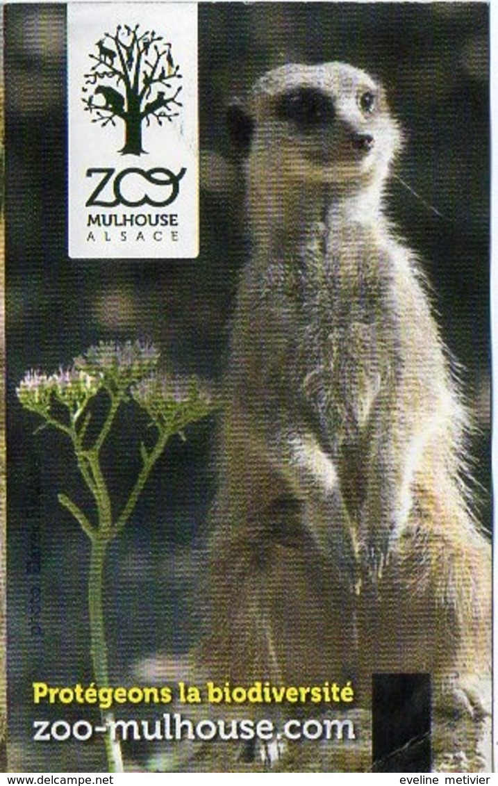 TICKET ZOO MULHOUSE / ALSACE  - Protégeons La Biodiversité - Tickets - Entradas