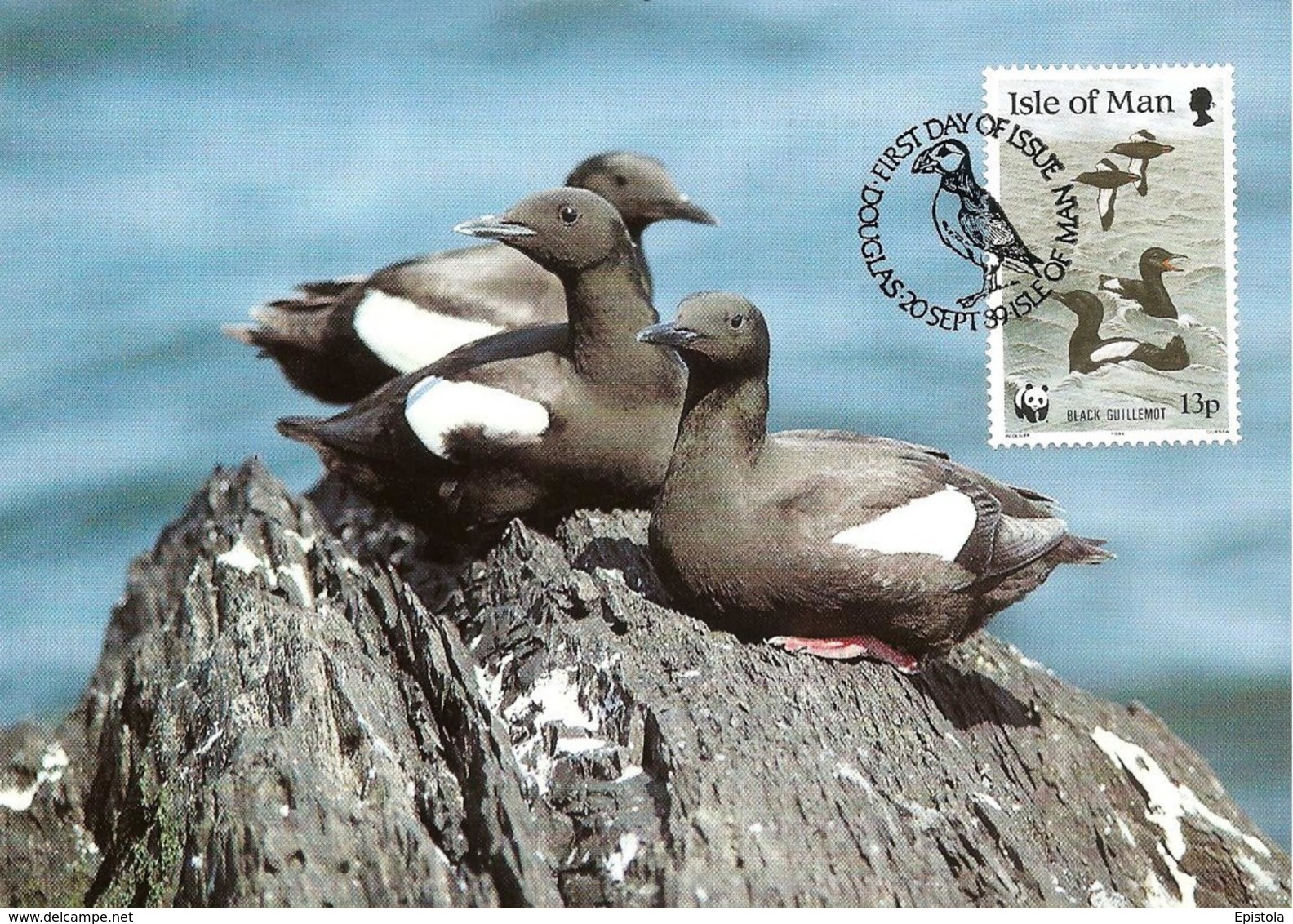 WWF Maxi Cards 1989 Isle Of Man Sea Birds First Day  Douglas - Black Guillemot - Isle Of Man