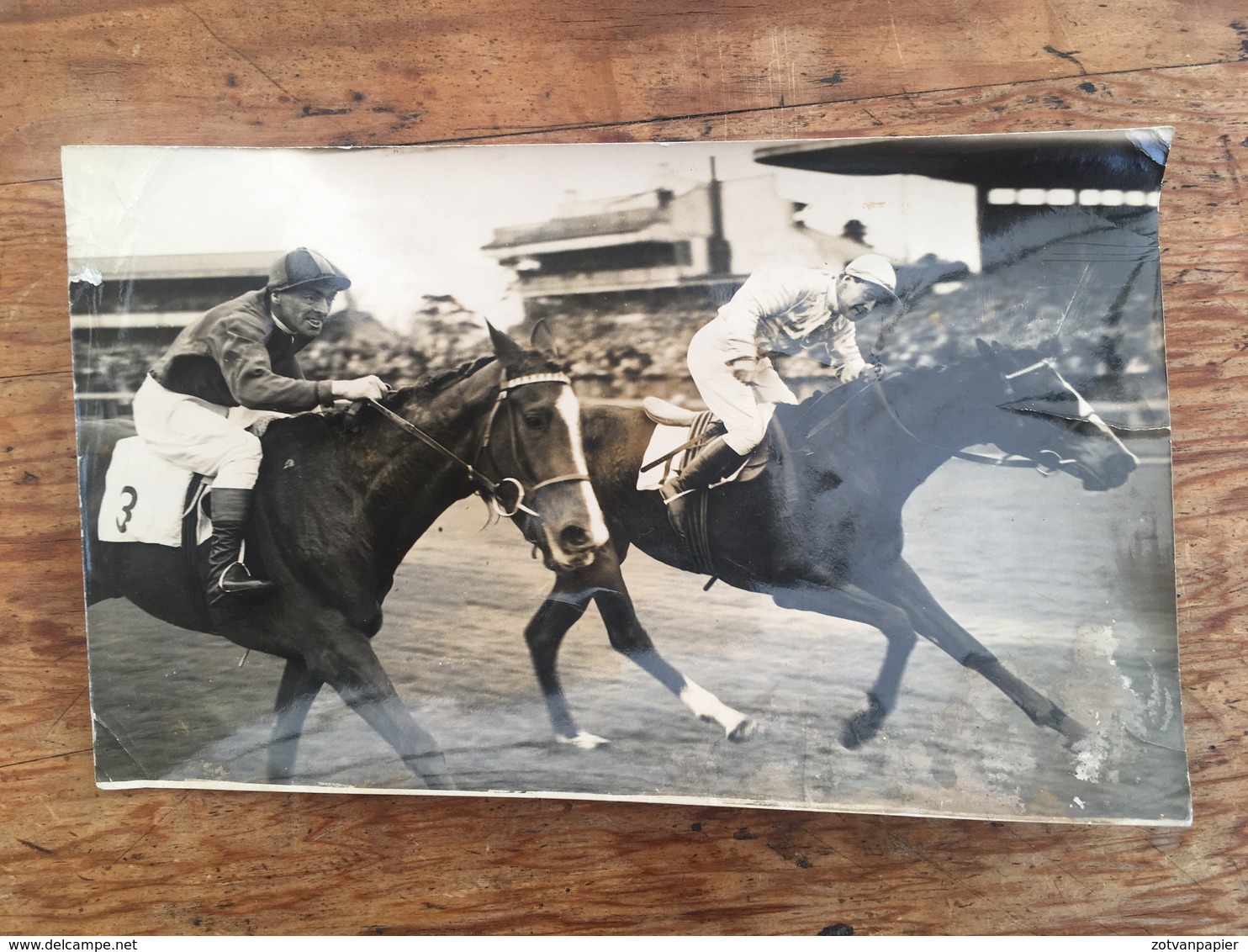 South Africa - Kempton Park - Press Photo - Ruitersport