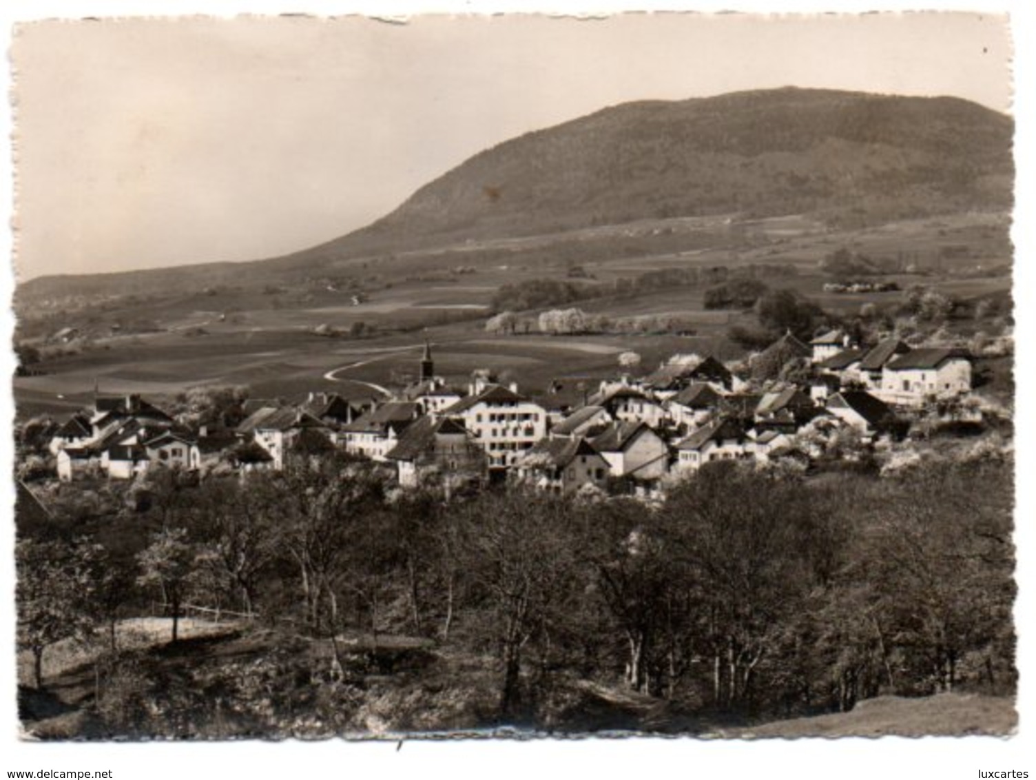 GORGIER ET LE MONT AUBERT. - Gorgier