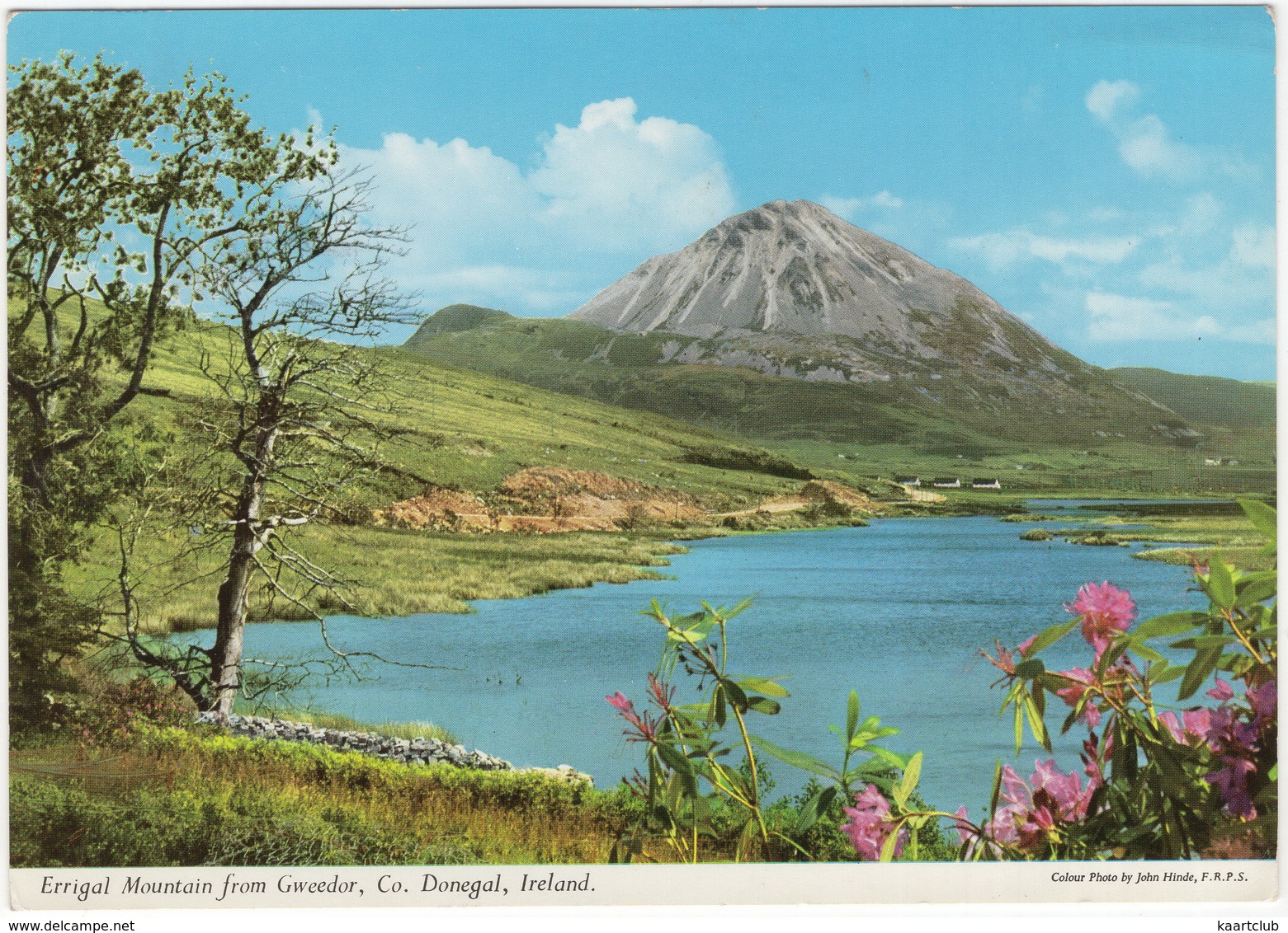 Errigal Mountain From Gweedor - (Donegal, Ireland) -  John Hinde - 1964 - Donegal