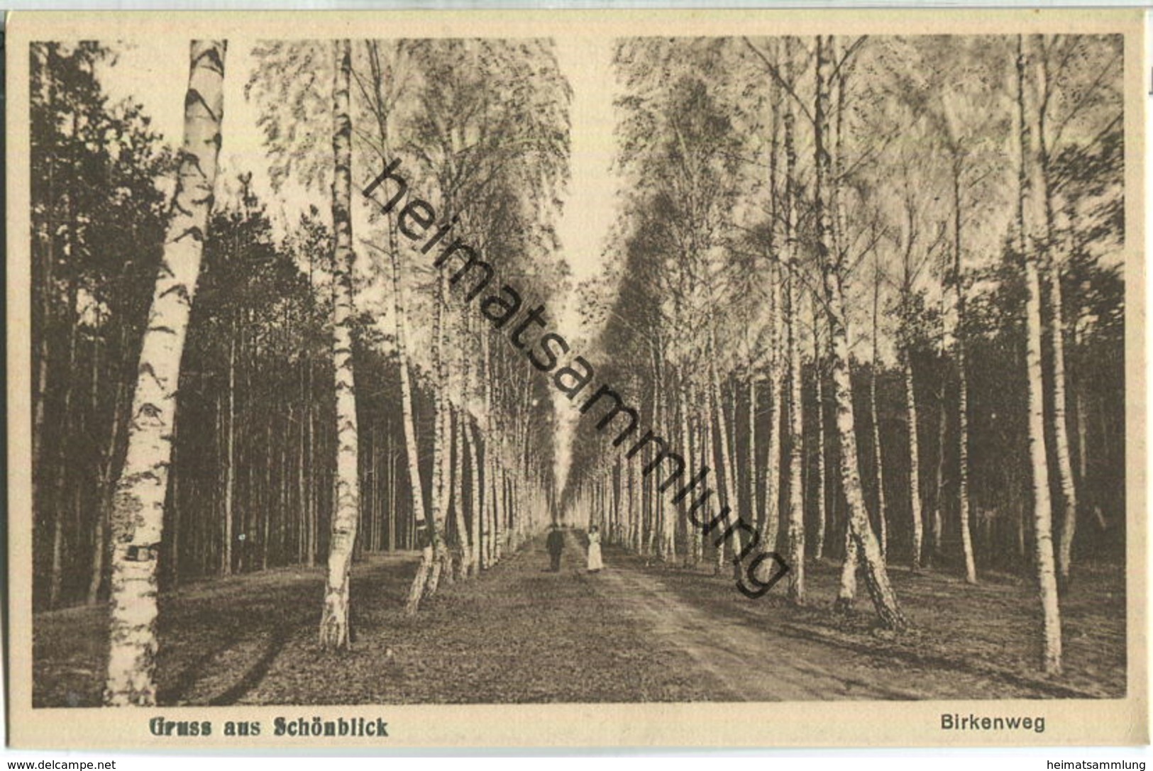 Schönblick - Birkenweg - Verlag W. Meyerheim Berlin 1929 - Woltersdorf