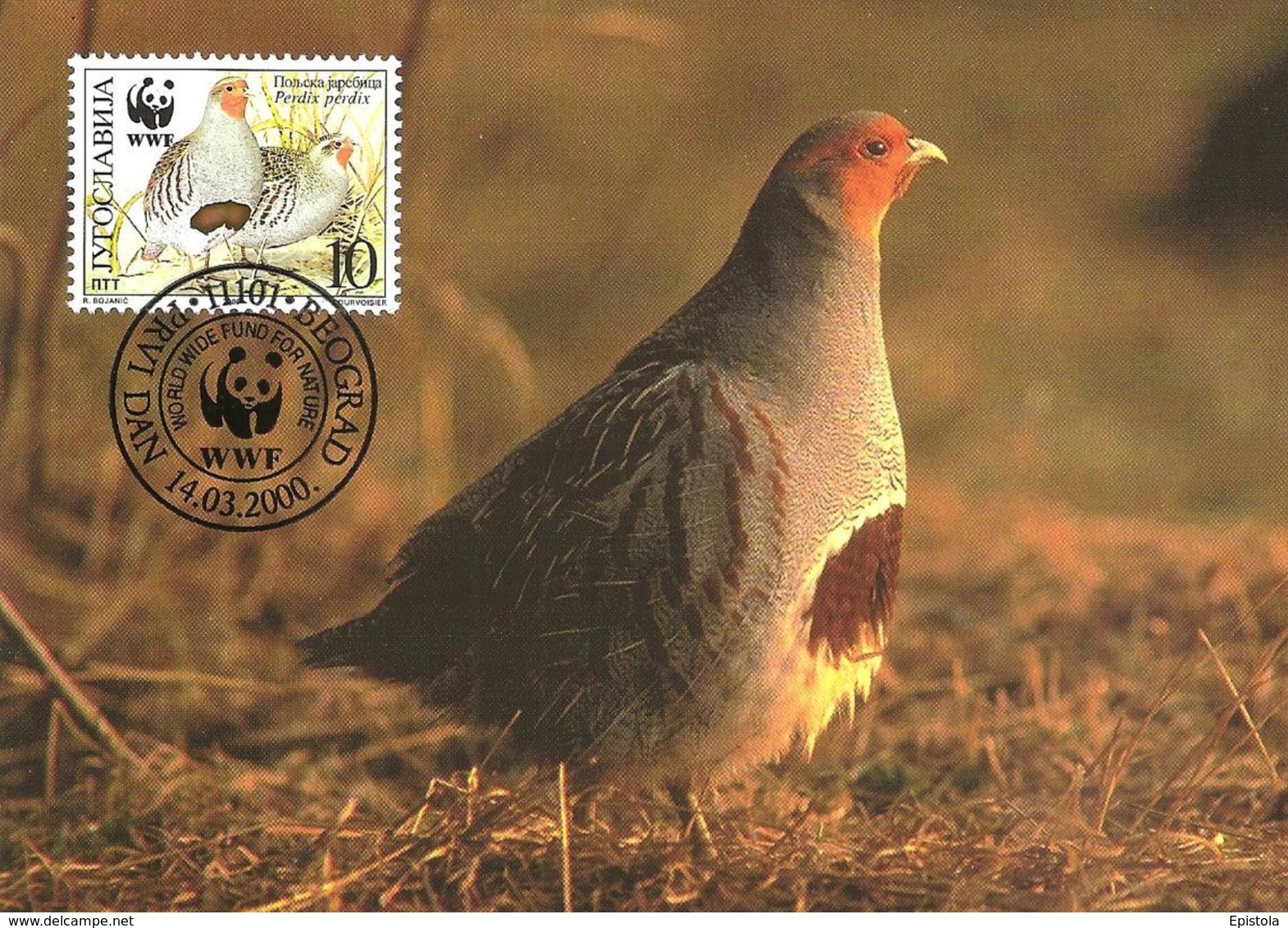 2000 - BEOGRAD - Grey Partridge - Perdrix Grise WWF - Serbie