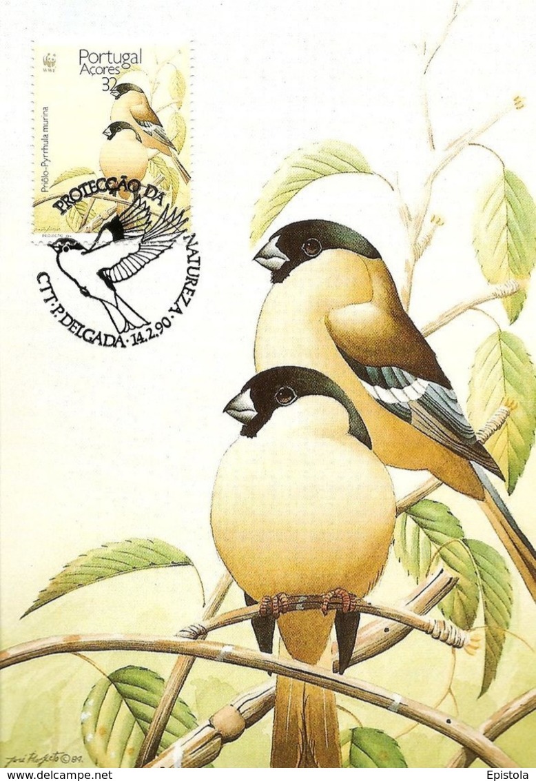 1990 - ACORES - Ponta Delgada - Sao Miguel Bullfinch WWF - Açores