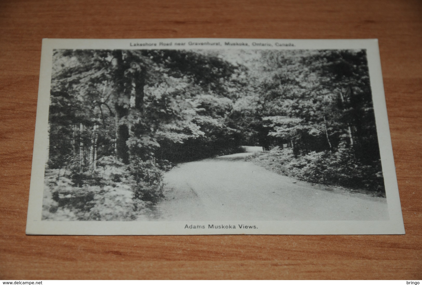 3259-            CANADA, ONTARIO, MUSKOKA, LAKESHORE ROAD NEAR GRAVENHURST - Muskoka