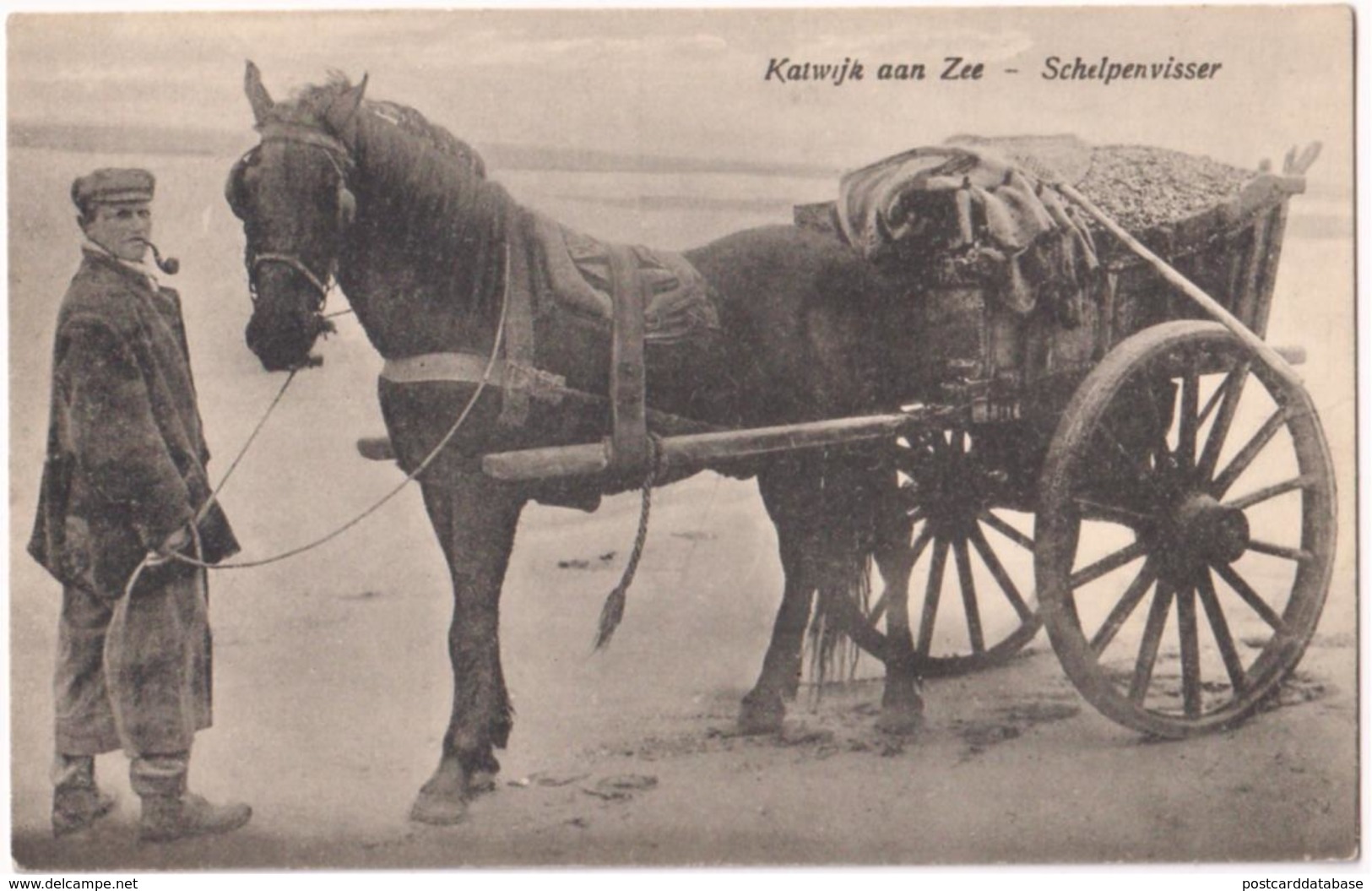 Katwijk Aan Zee - Schelpenvisser - & Horse Carriage - Katwijk (aan Zee)