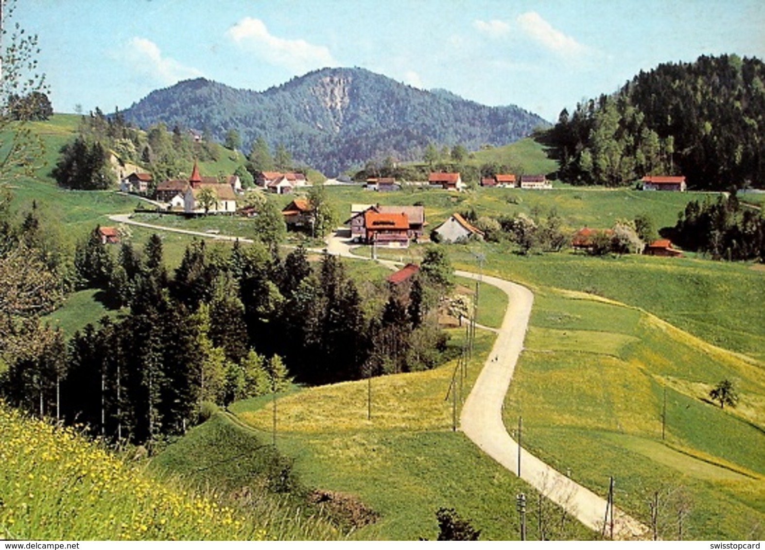 STERNENBERG Blick Auf Hörnli - Sternenberg