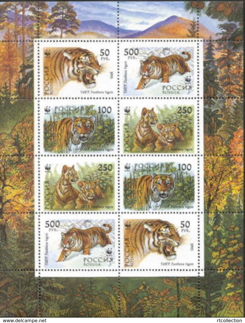 Russia 1993 M/S Siberian Tigers Animals Panthera Fauna Mammals Nature W.W.F. Forest Protection WWF Stamps MNH Mi 343-346 - Lots & Serien