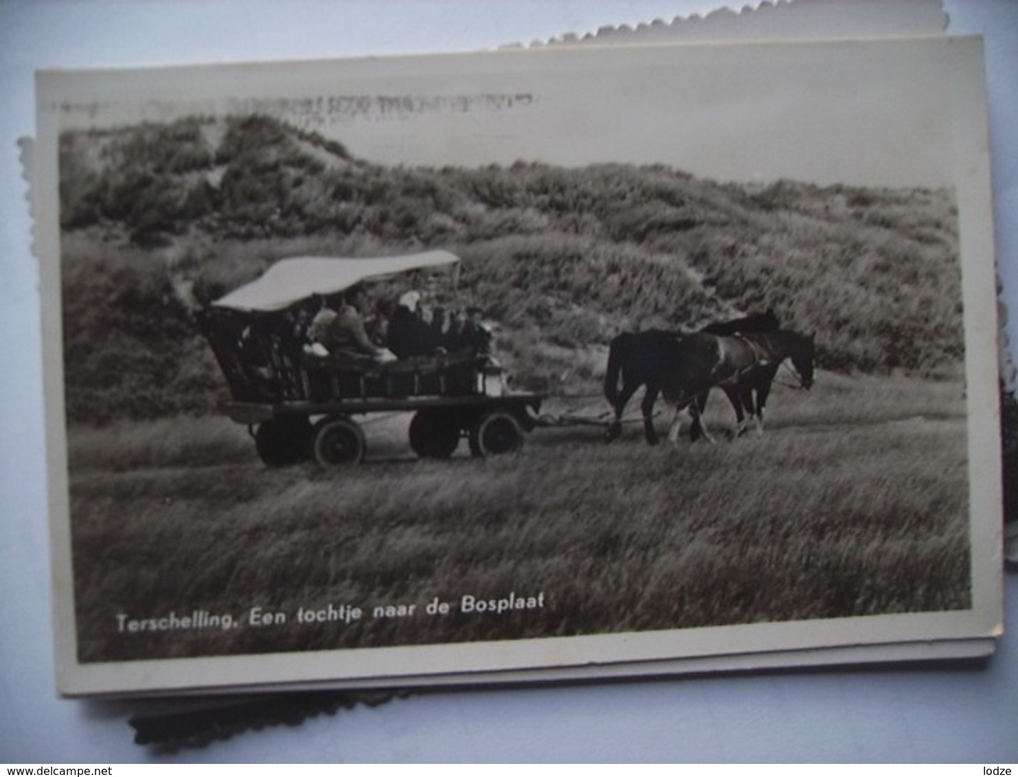 Nederland Holland Pays Bas Terschelling Met Een Tochtje Paard En Wagen - Terschelling