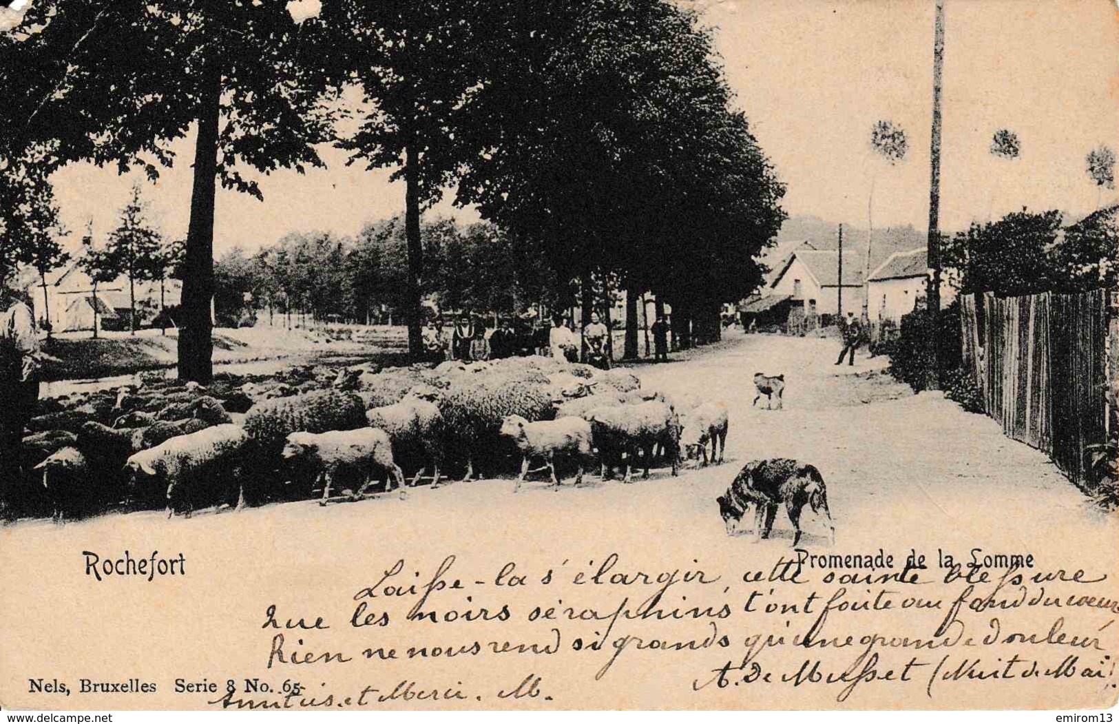 Rochefort Promenade De La Lomme Troupeau De Moutons Coin Supp Gauche Abîmé - Rochefort