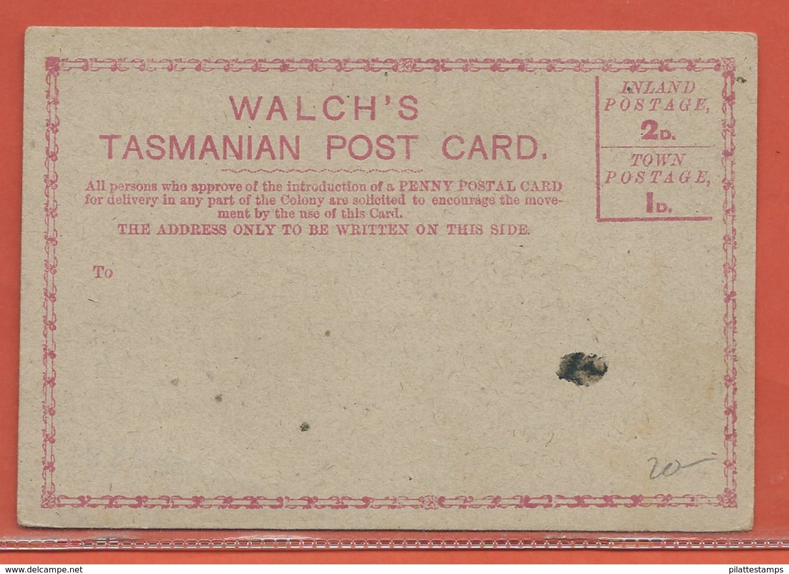 TASMANIE CARTE POSTALE WALCH'S NEUVE - Lettres & Documents