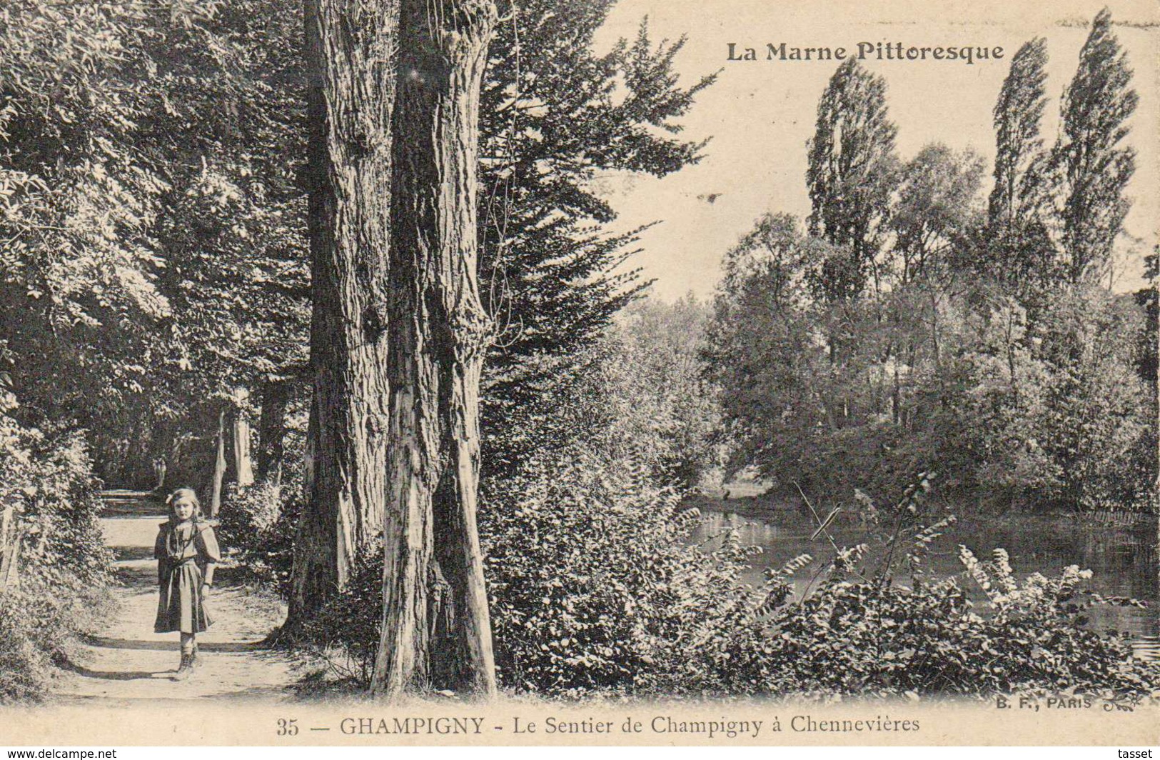 94 - Série La Marne Pittoresque  N°35 Champigny -  Sentier De Champigny à Chennevières - Arbre , - Champigny Sur Marne