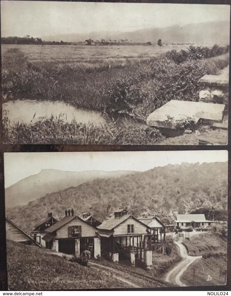 2 Cpa, A RICE FIELD-CACAO ESTATE BUILDINGS, TRINIDAD, Non écrites, Antilles - Trinidad