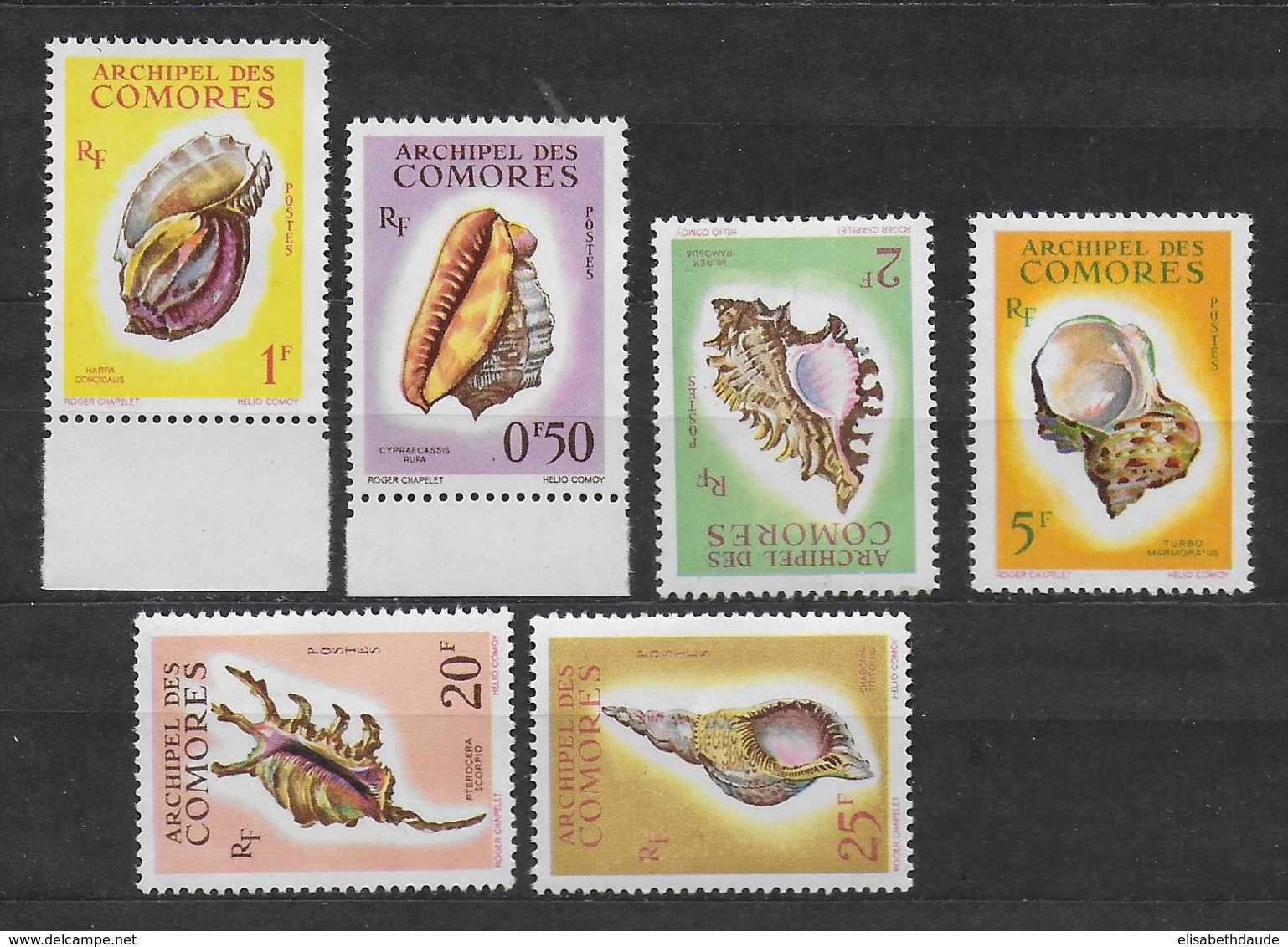 COMORES - 1962 - YVERT N° 19/24 ** MNH (2 F Avec CHARNIERE SINON SANS CHARNIERE) - COTE = 46 EUR. - COQUILLAGES - Unused Stamps