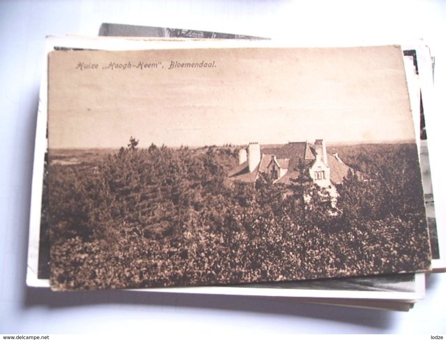 Nederland Holland Pays Bas Bloemendaal Panorama Met Huize Hoogh-Heem - Bloemendaal