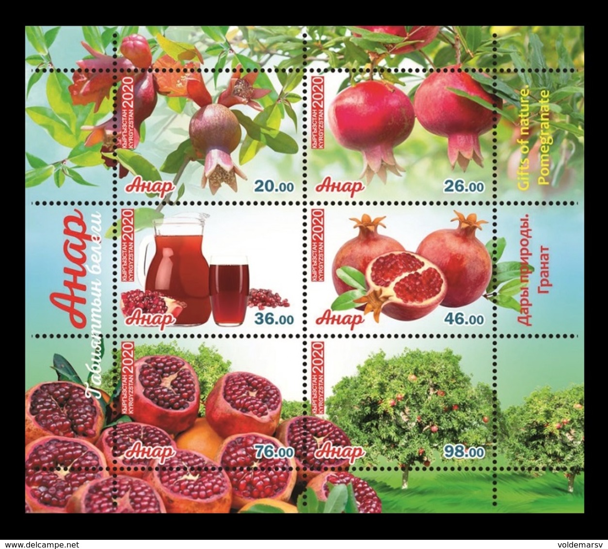 Kyrgyzstan 2020 Mih. 987/92 Flora. Gifts Of Nature. Pomegranate MNH ** - Kyrgyzstan