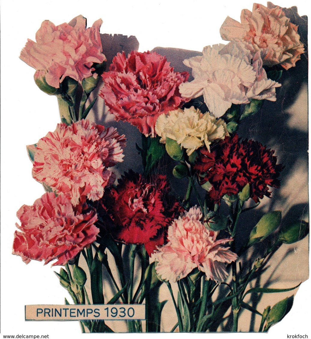 Printemps 1930 - Grand Découpis De Fleurs - 19 X 21 Cm - Flores