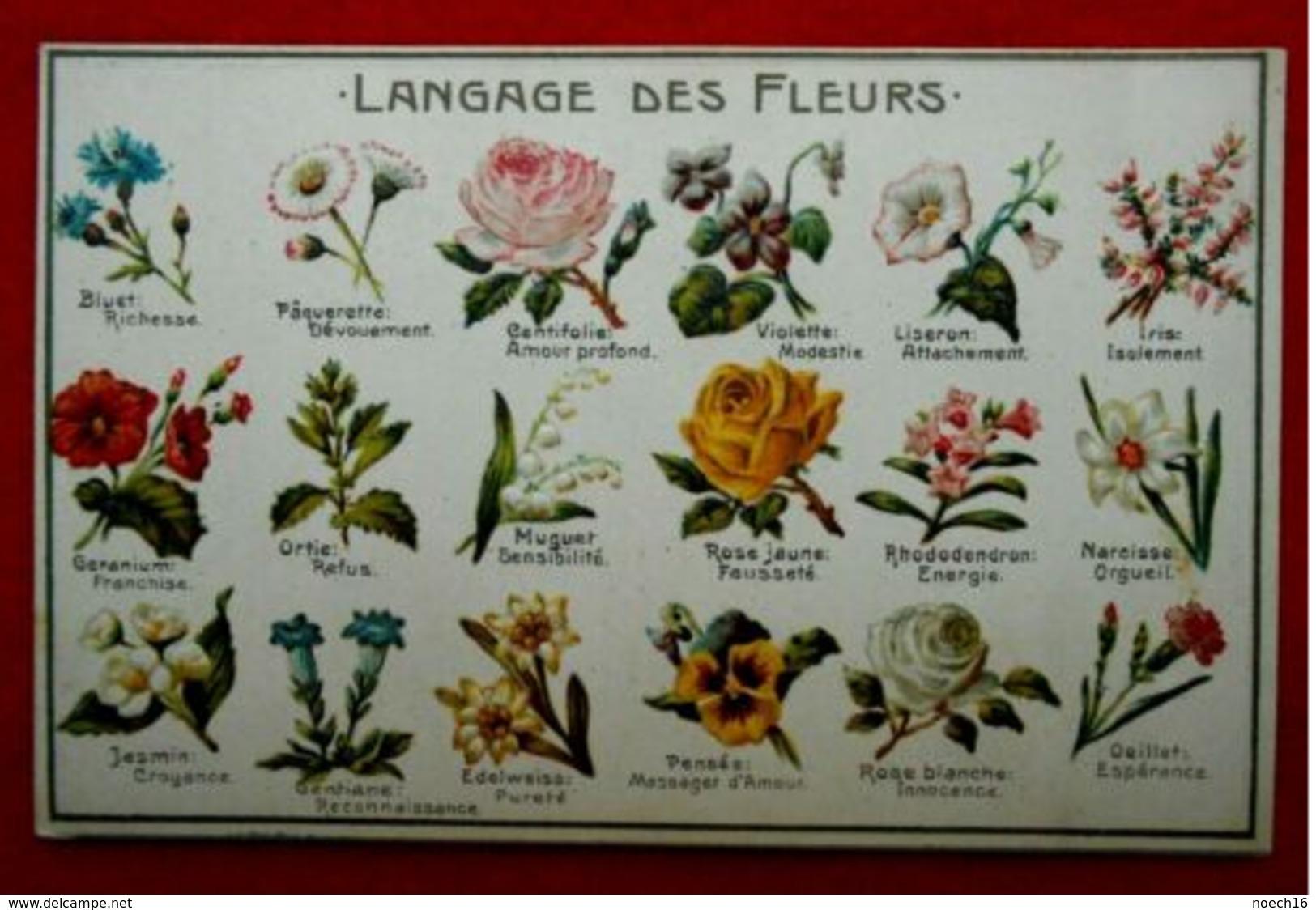 CPA Fantaisie Gaufrée Langage Des Fleurs - Fleurs