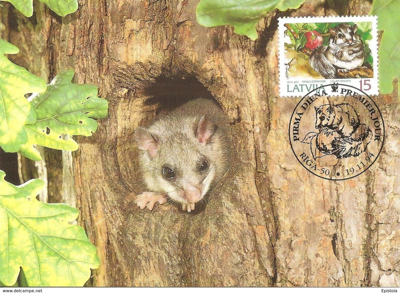 1994 - LATVIJA Lettonie  - RIGA - Edible Dormouse - Loir Gris WWF - Lettonie