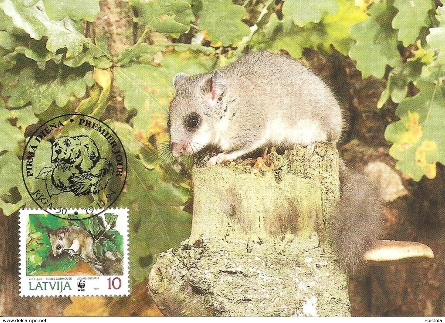 1994 - LATVIJA Lettonie  - RIGA - Edible Dormouse - Loir Gris WWF - Lettonie