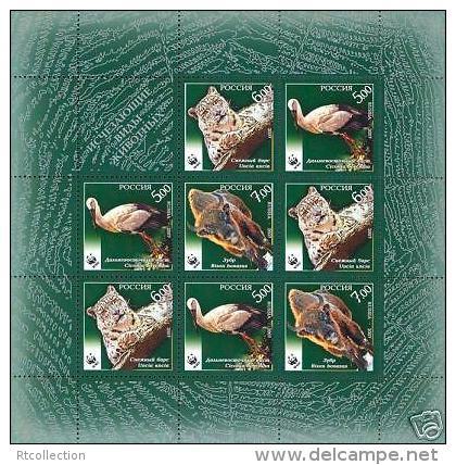 Russia 2007 Fauna Endangered Animals Stork Birds Mammals Leopard WWF W.W.F Sheetlet Stamps MNH Michel 1434-1436 - Verzamelingen & Reeksen