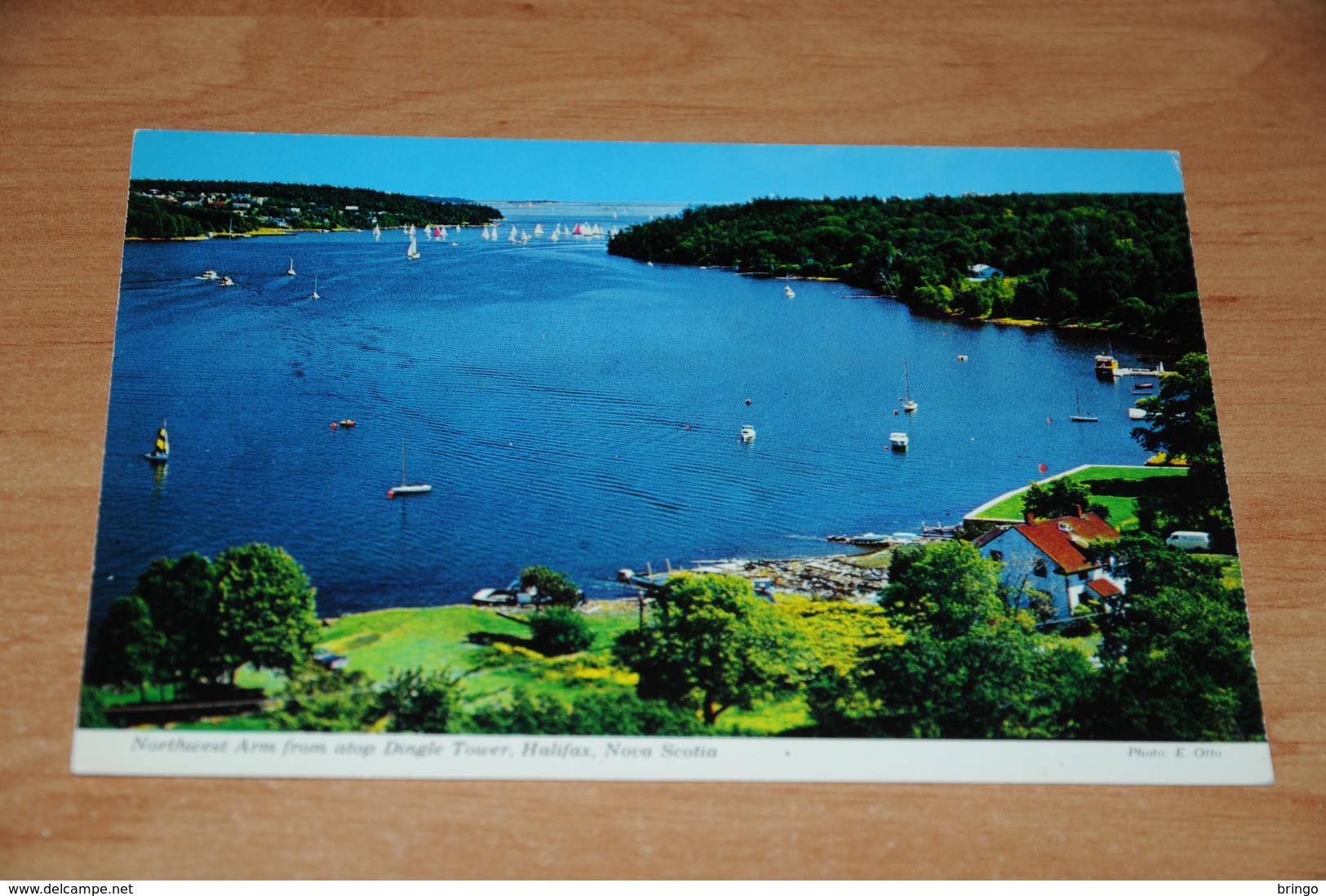 3366-           CANADA, NOVA SCOTIA, HALIFAX, NORTHWEST ARM FROM ATOP DINGLE TOWER - Halifax