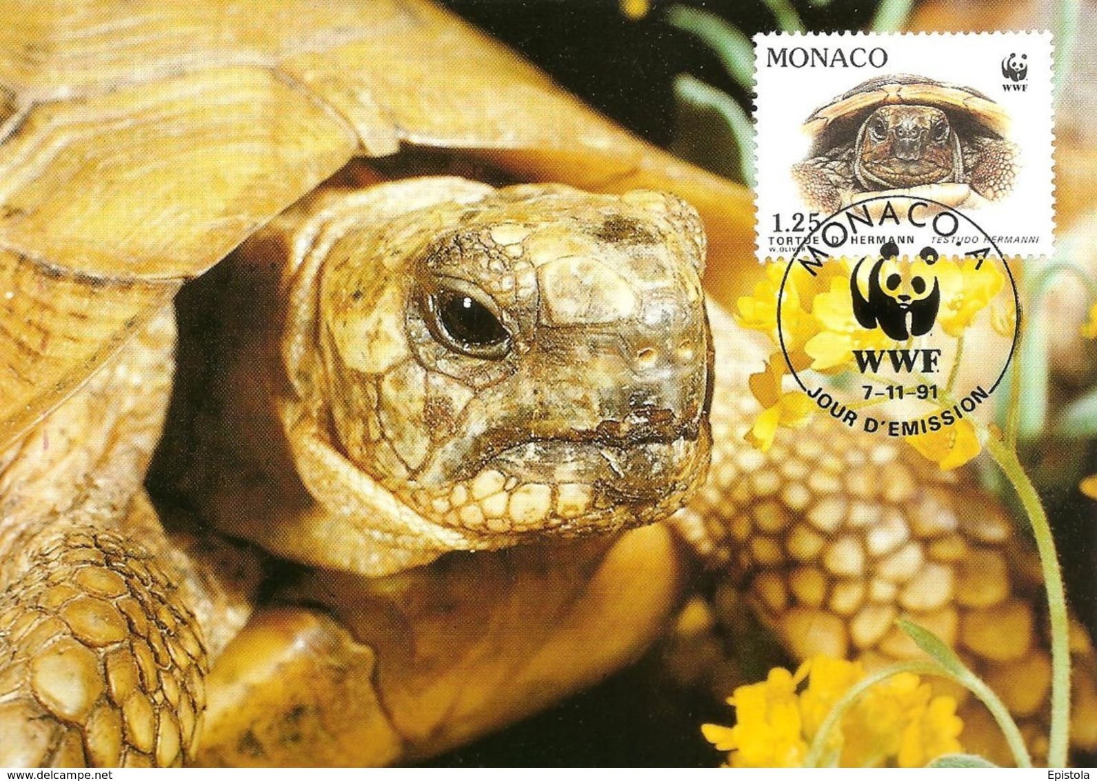 1991 - MONACO - Tortue Hermann Tortoise WWF - Colecciones & Lotes