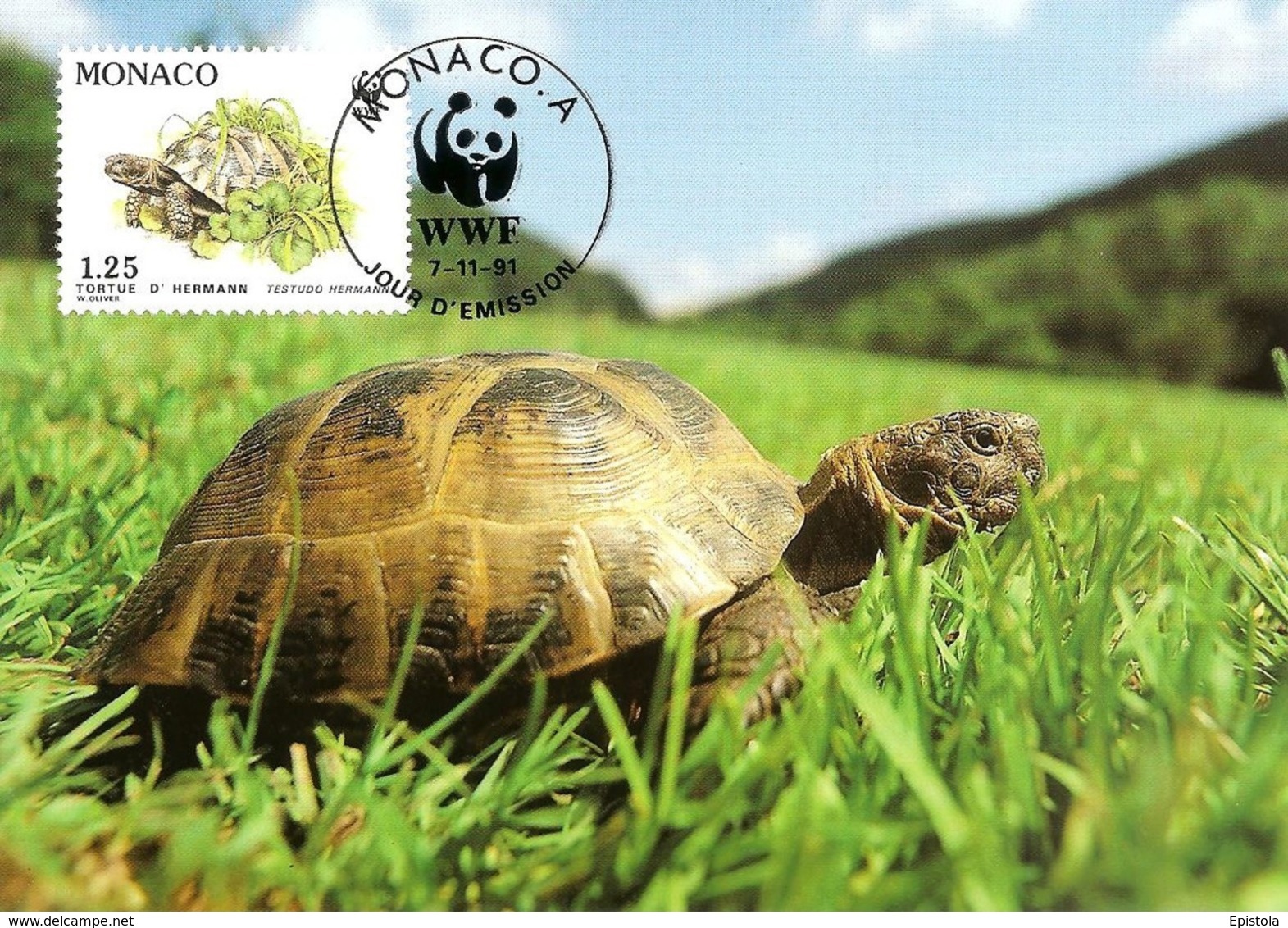 1991 - MONACO - Tortue Hermann Tortoise WWF - Sammlungen & Lose