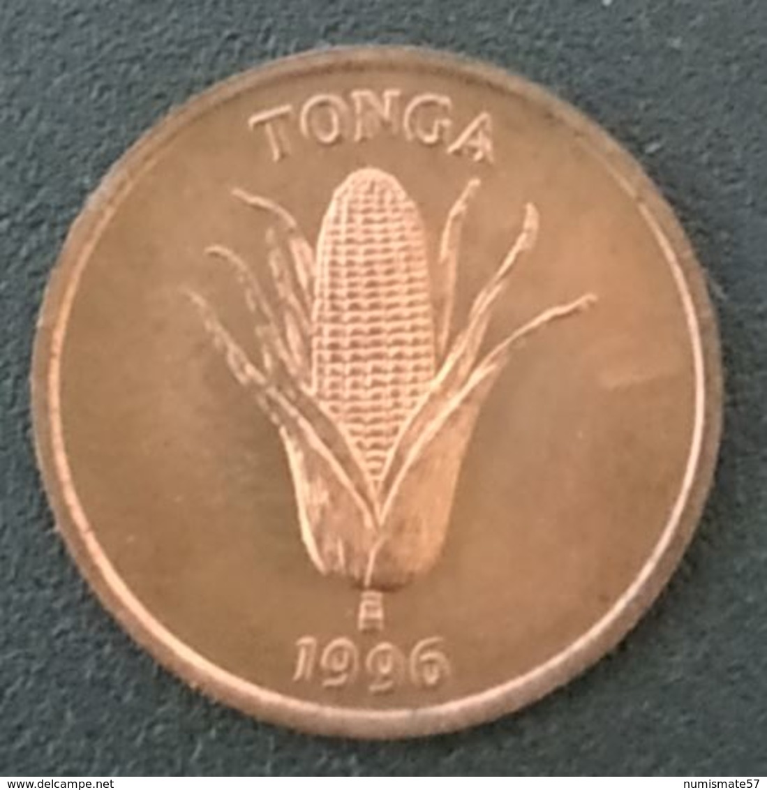 TONGA - 1 SENITI 1996 - FAO - KM 66 - Tonga