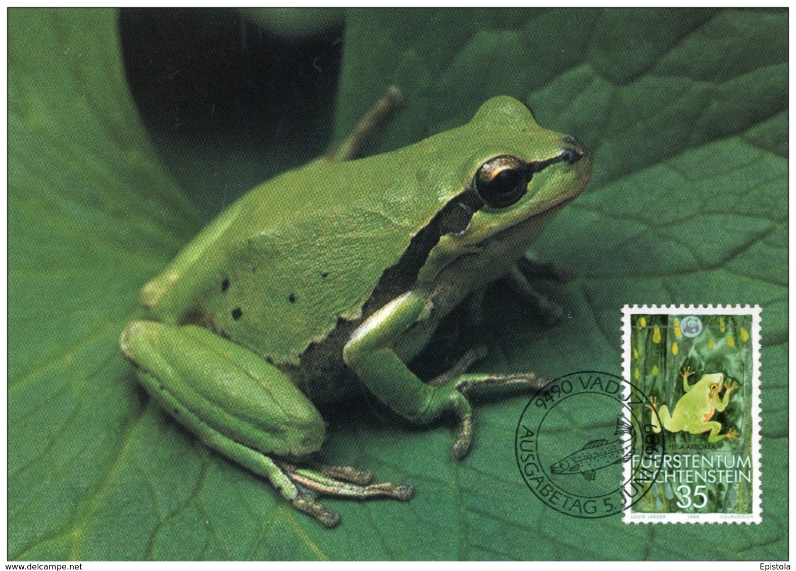 1989 LIECHTENSTEIN Rainette , Grenouille, Tree-Frog   WWF - Liechtenstein