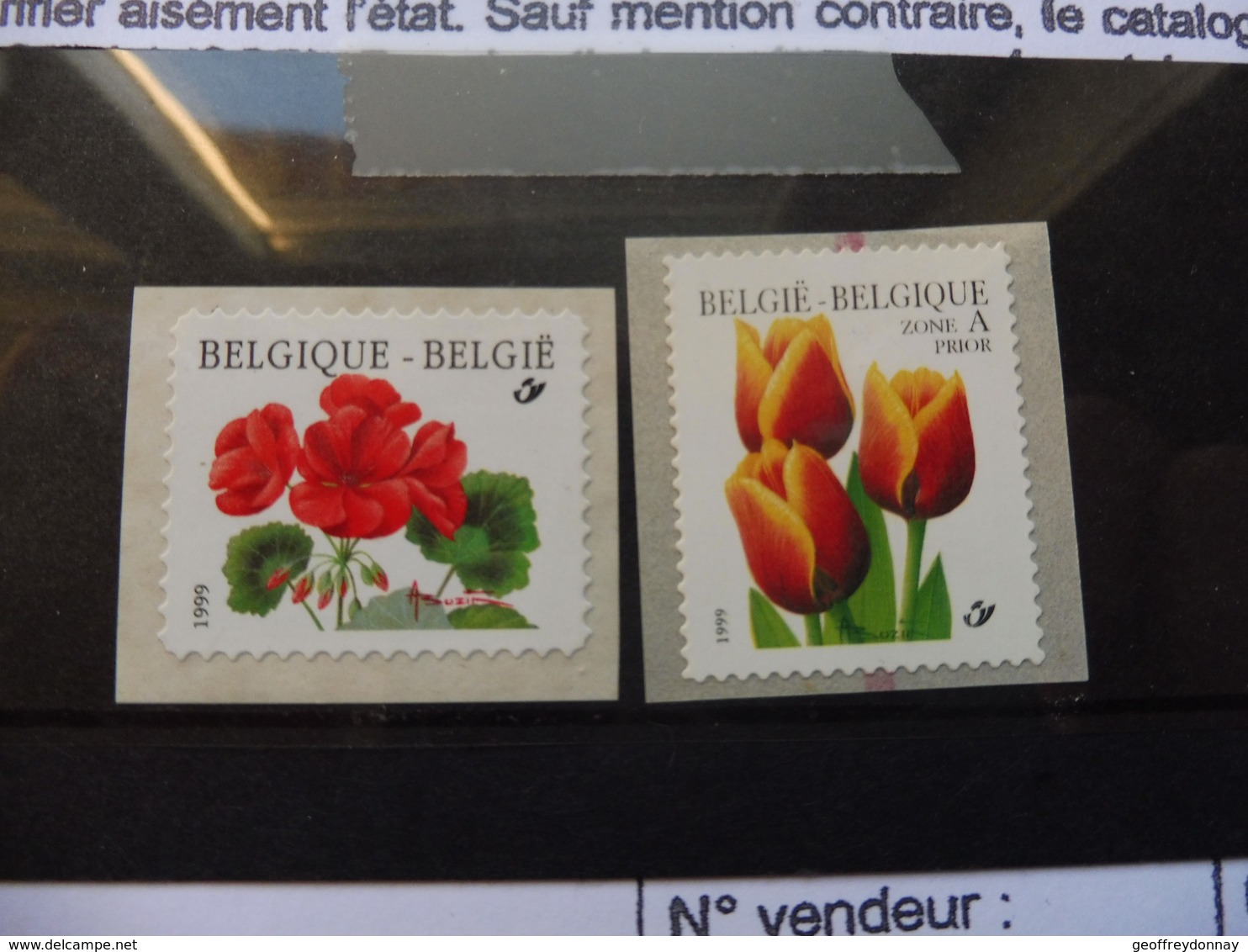 Belgique Fleurs Buzin 2854/55 R 90 A Ecriture Au Dos Et Tache Rouge Au Dos A L'autre - Coil Stamps