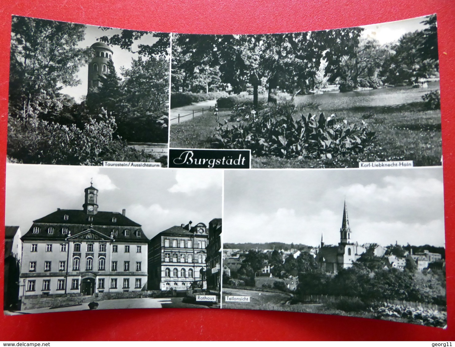 Burgstädt - Aussichtsturm Taurastein - Karl Liebknecht Hain - Sachsen - DDR 1968 - Echtfoto - Burgstaedt