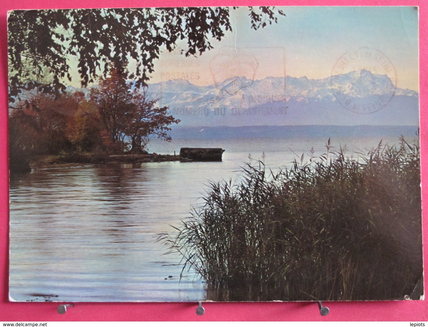 Visuel Très Peu Courant - Allemagne - Am Starnberger See - Blick Gegen Zugspitze - 1958 - Recto Verso - Zugspitze