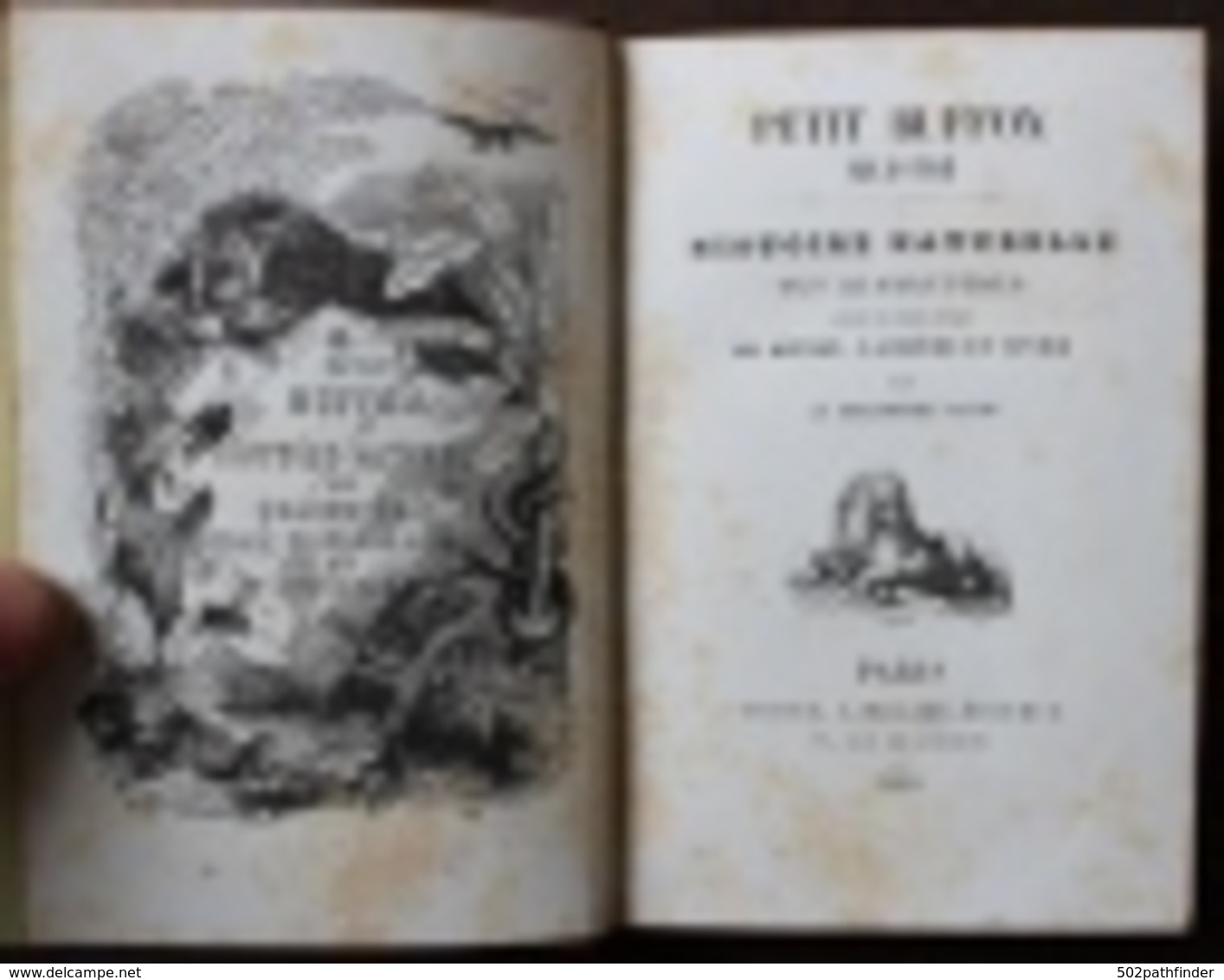 1872 Mémoires De Caniche . Mlle Julie GOURAUD Bibliothèque Rose Illustrée Libr. Hachette Imp.Lahure 75 Vign.Bayard - 1801-1900