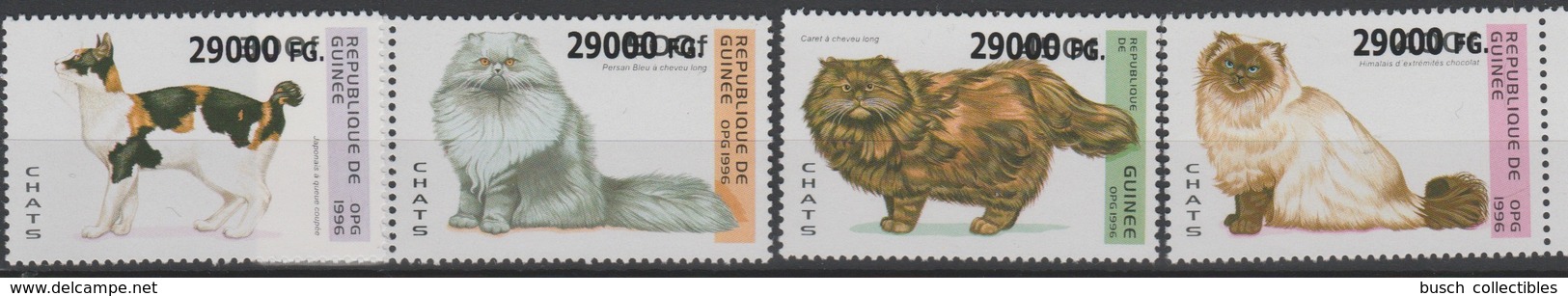 Guinée Guinea 2008 Mi. 6340-43 Surchargé Overprint Chats Katzen Cats Animals Faune Fauna - Katten