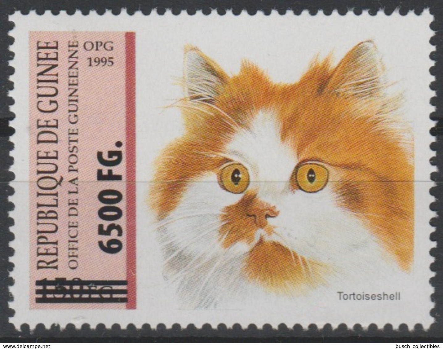 Guinée Guinea 2009 Mi. 6753 Surchargé Overprint Chat Katze Cat Animal Faune Fauna - Domestic Cats