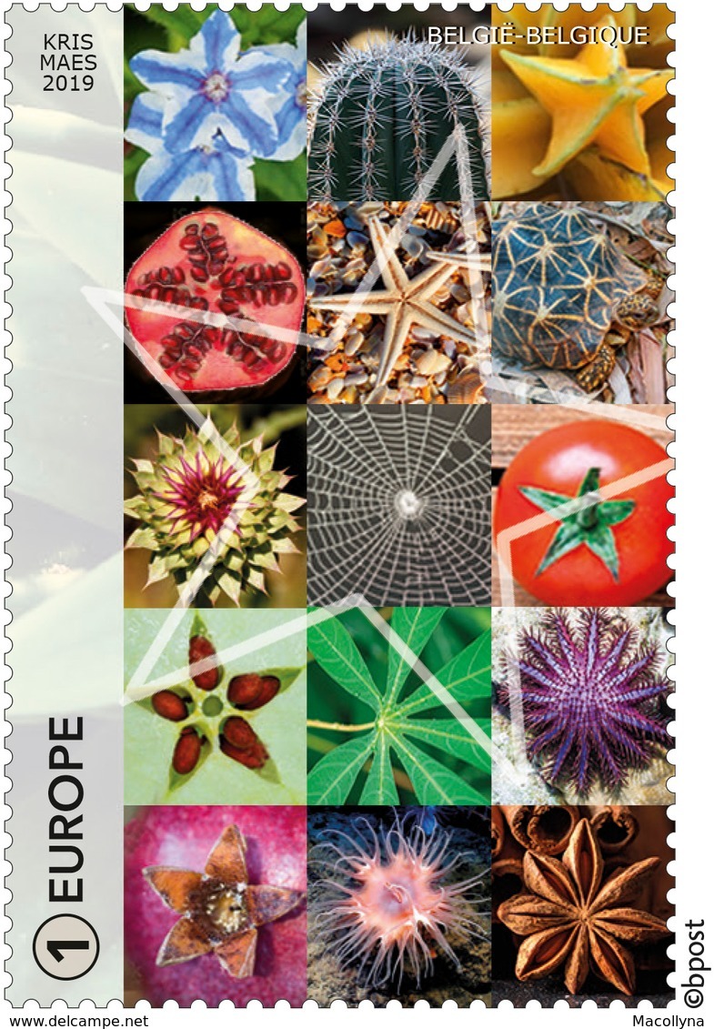 Blok 279** Géométrie Dans La Nature 4861/65** Geometrie In De Natuur** De Stervorm - La Forme étoile MNH - Unused Stamps