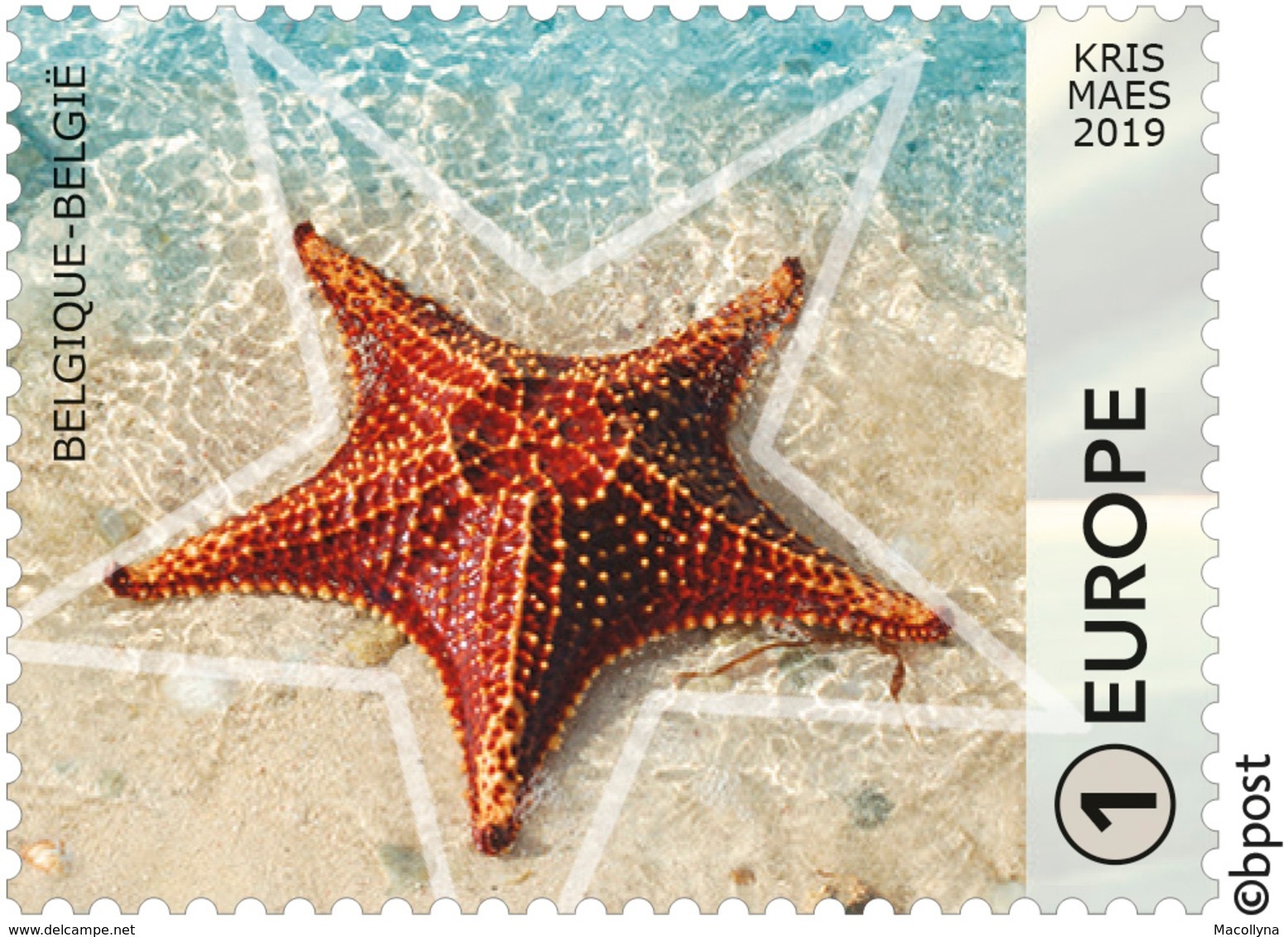 Blok 279** Géométrie Dans La Nature 4861/65** Geometrie In De Natuur** De Stervorm - La Forme étoile MNH - Unused Stamps