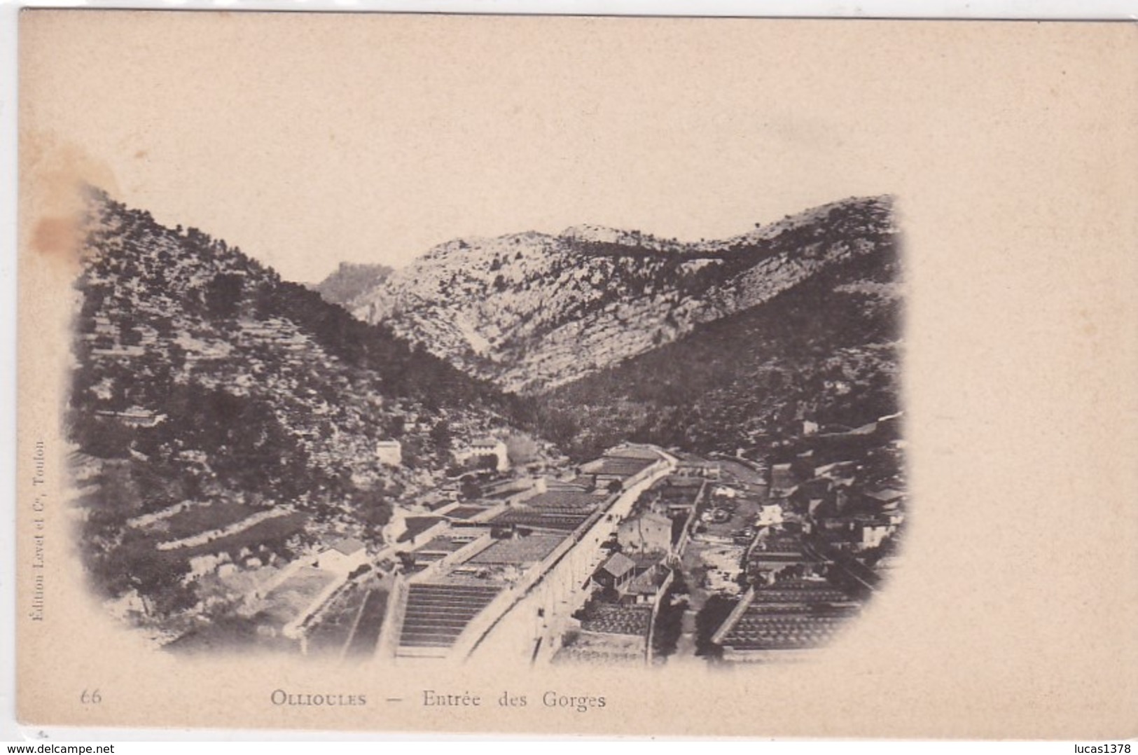 83 / OLLIOULES / ETREE DES GORGES / PRECURSEUR - Ollioules