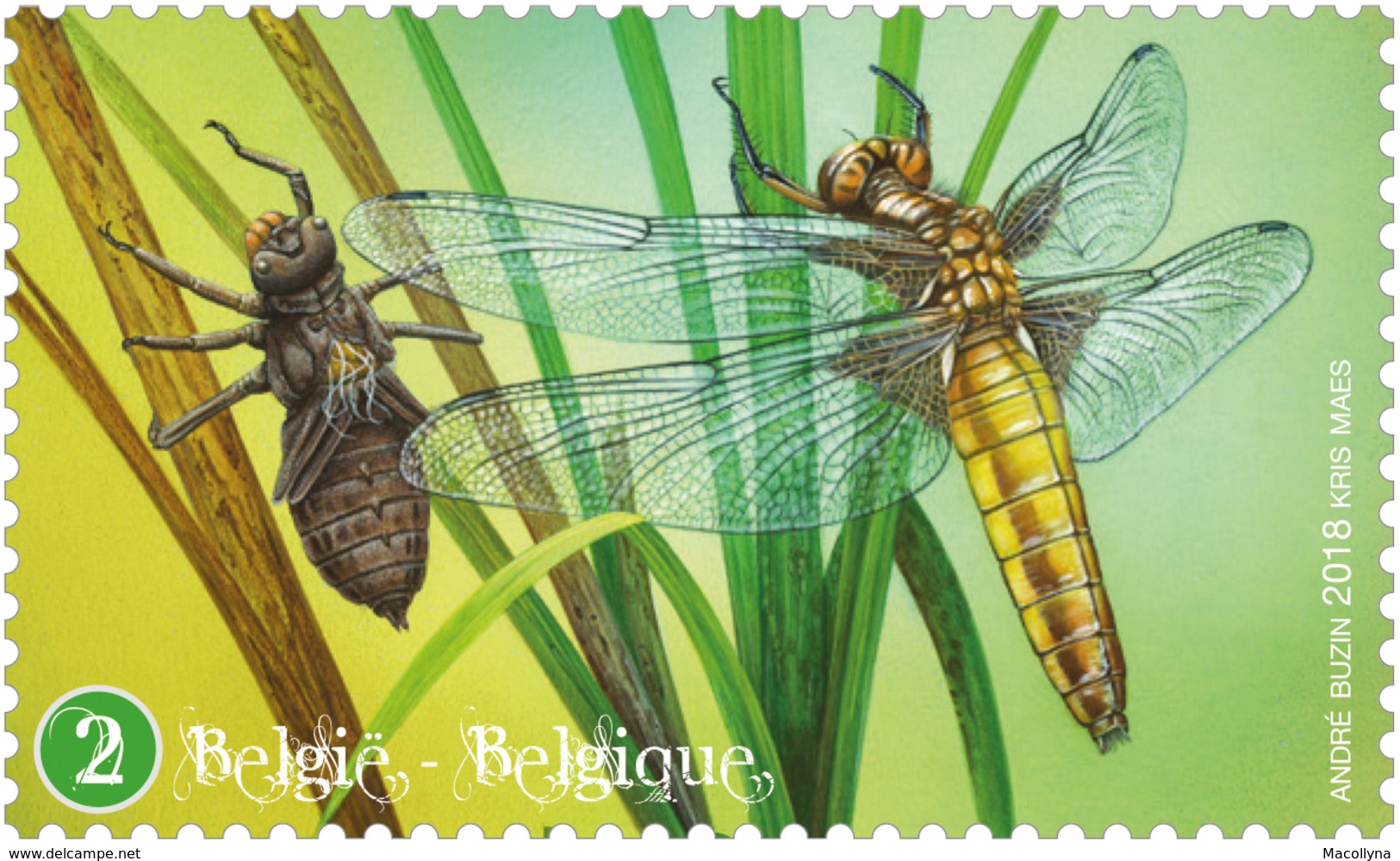 Libellen (5 Losse Zegels Nrs 2) / Libellules ( Les 5 Timbres N°2 Seuls) - 1961-2001