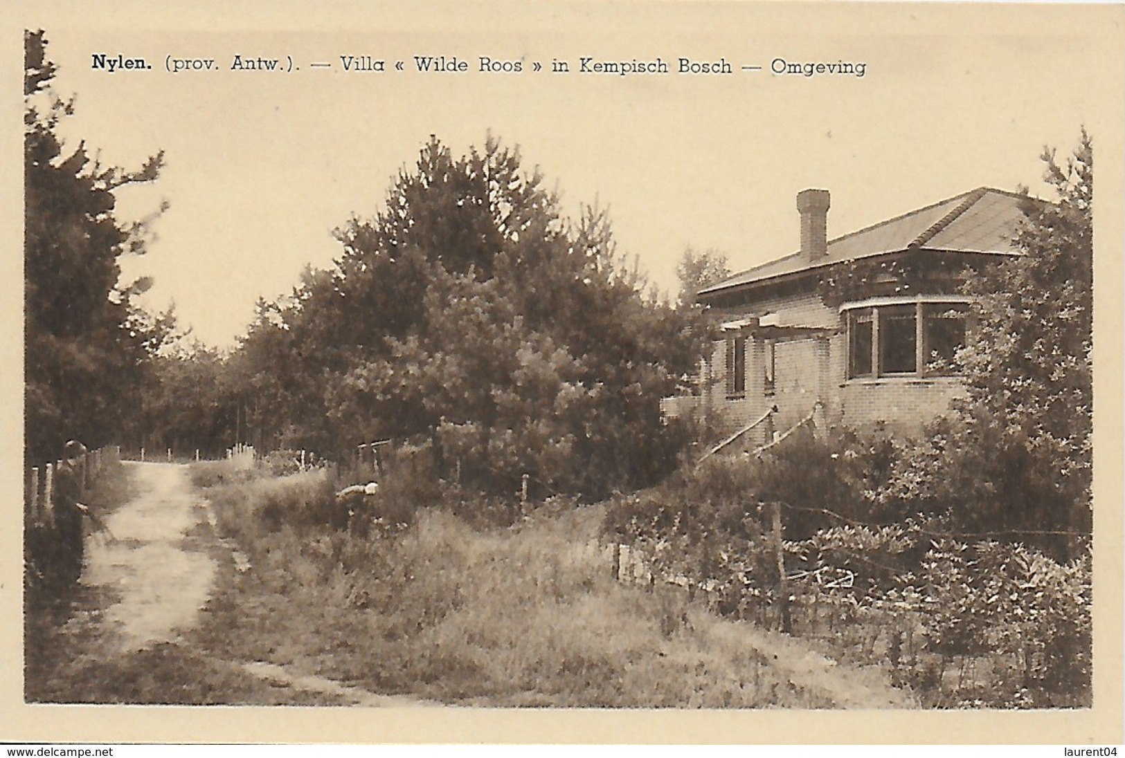 NIJLEN. NYLEN. VILLA WILDE ROOS IN KEMPISCH BOCH, OMGEVING.  ANIMATION - Nijlen