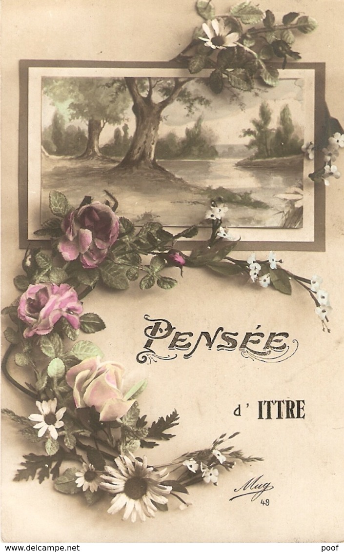 Ittre :  Pensée D'Ittre - Ittre