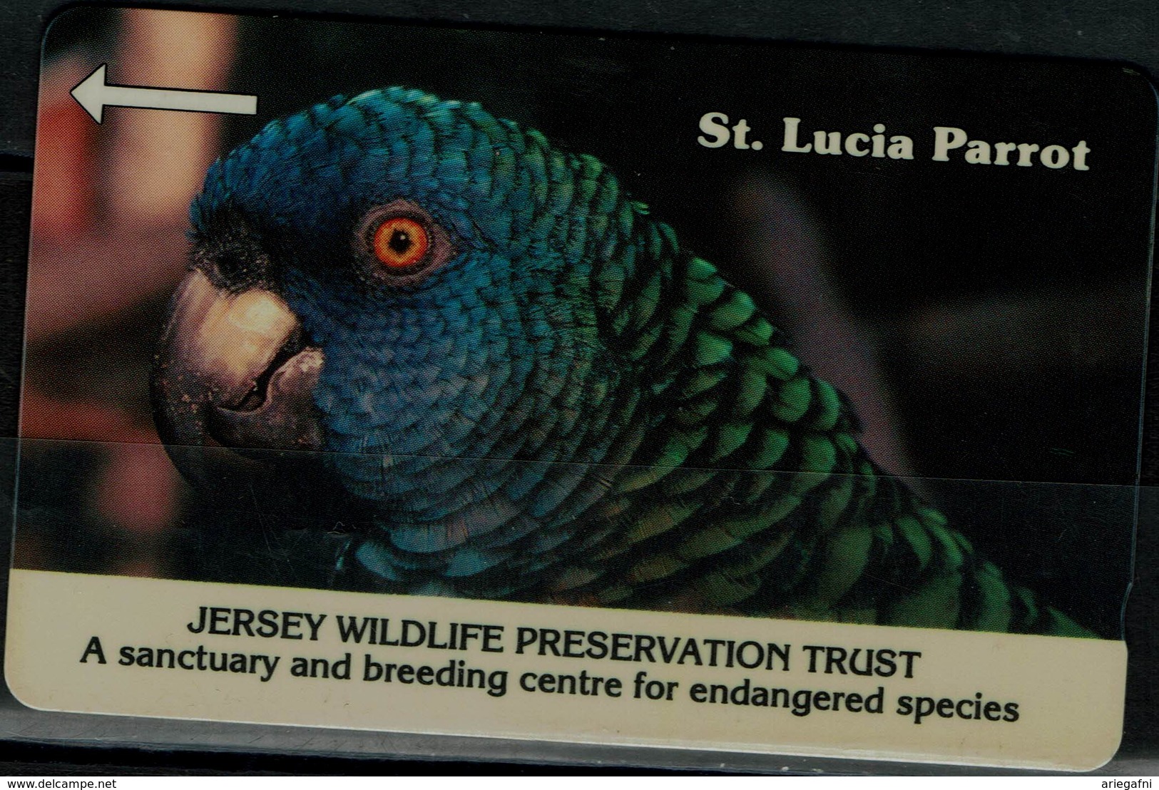 JERSEY 2000 PHONECARD PARROTS USED VF!! - Perroquets