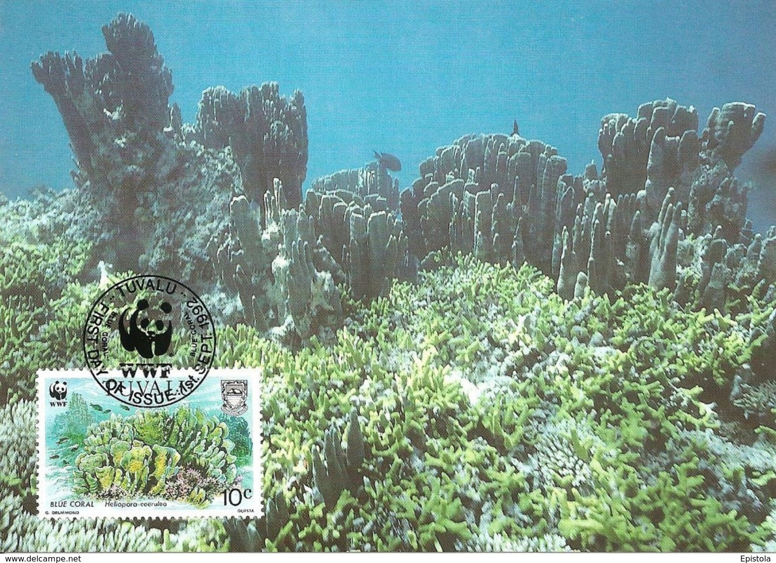 1992 - TUVALU - Blue Coral - Corail Bleu WWF - Tuvalu