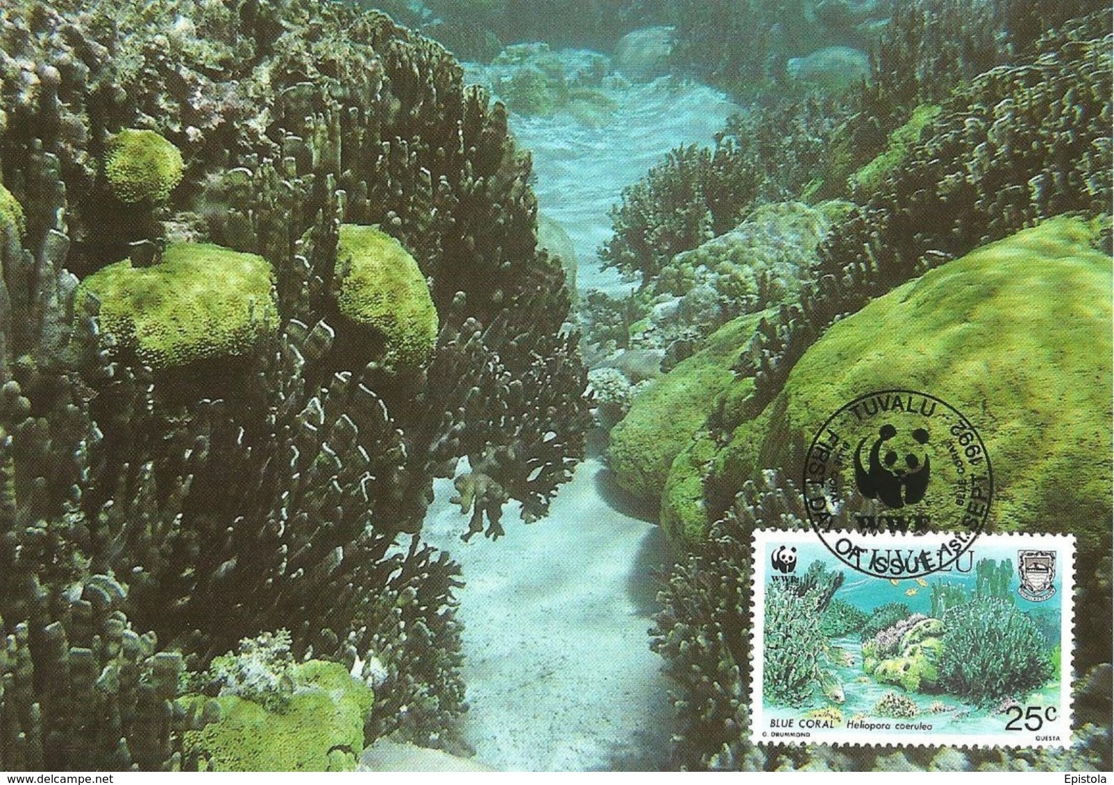 1992 - TUVALU - Blue Coral - Corail Bleu WWF - Tuvalu