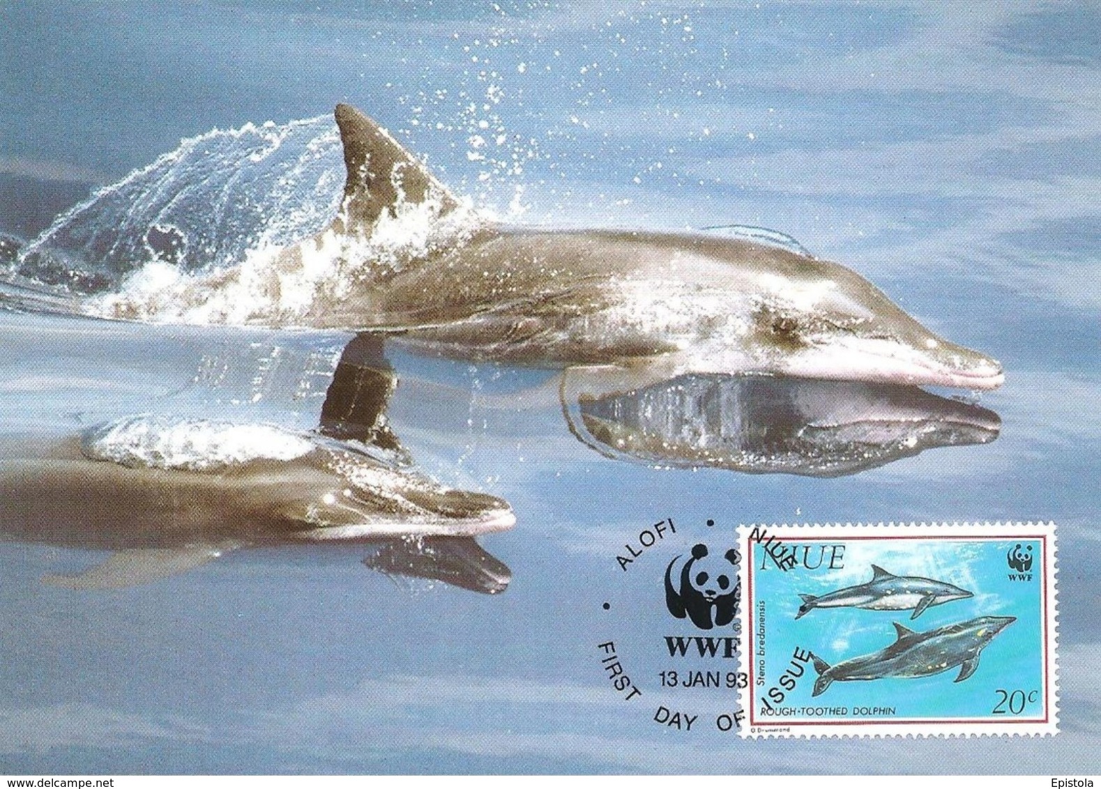 1993 - NIUE Alofi - Rough Touthed Dolphin - Dauphin à Long Bec WWF - Autres & Non Classés