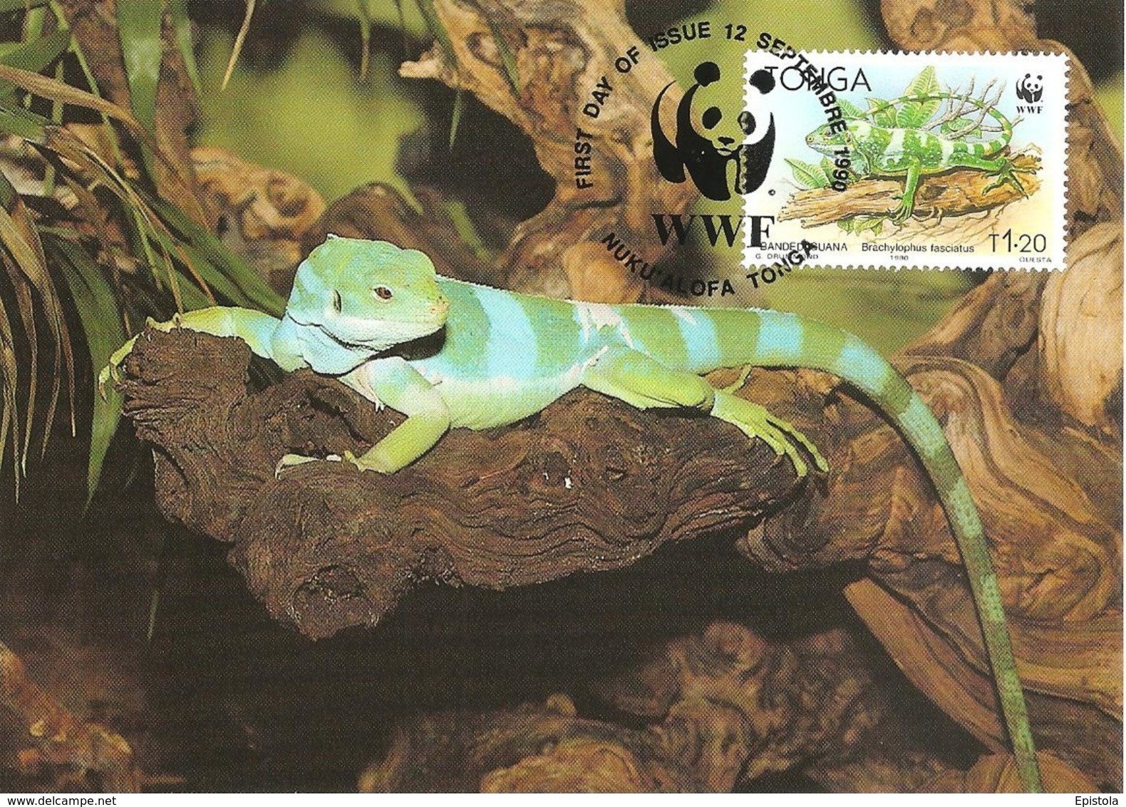 1990 - TONGA - Nuku'Alofa - Banded Iguana - Brachylophus Fasciatus Ou Iguane Des Fidji  WWF - Tonga