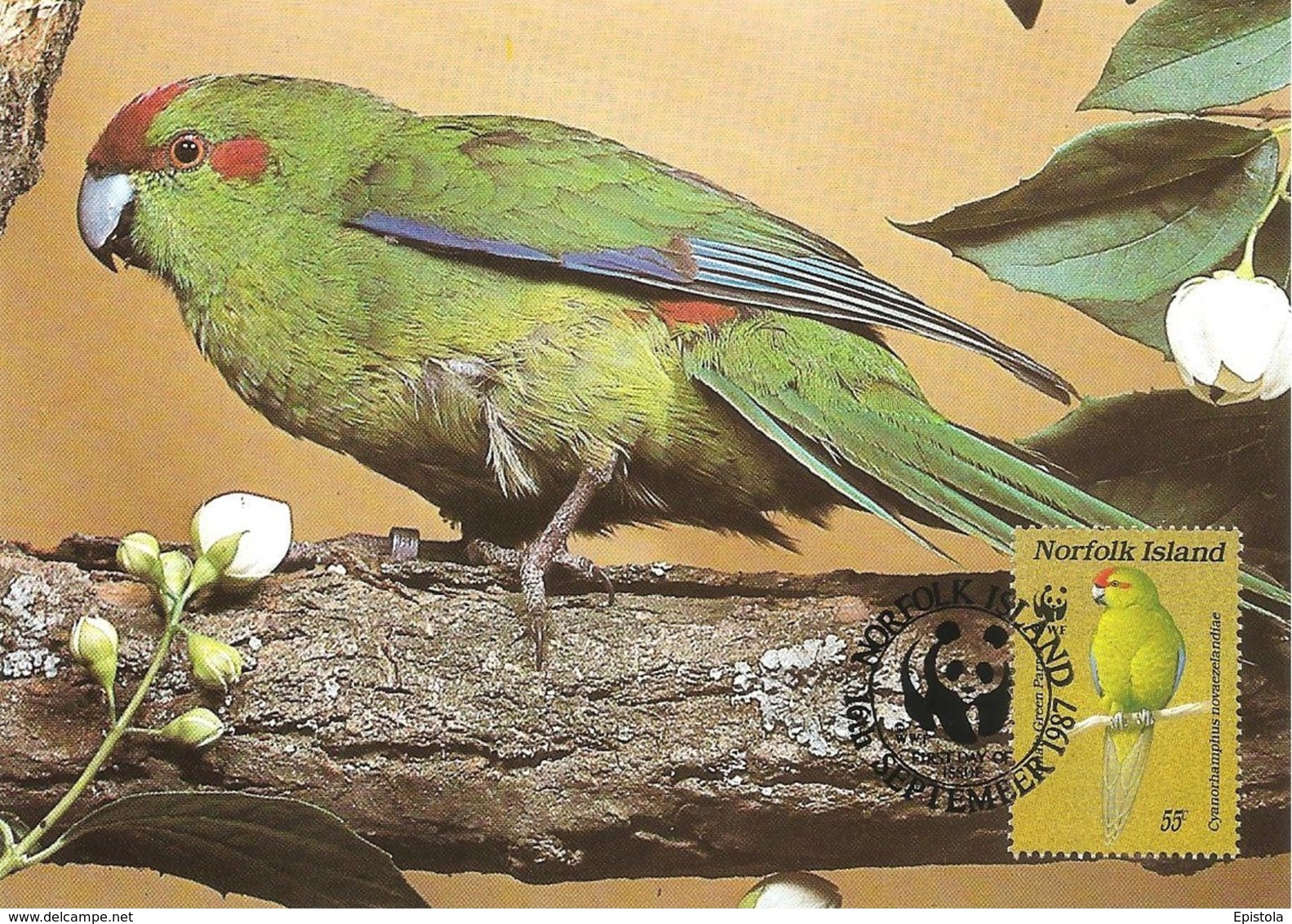 1987 - NORFOLK ISLAND (Australia) - Red Fronted Parrot - Perroquet à Calotte Rouge WWF - Autres & Non Classés