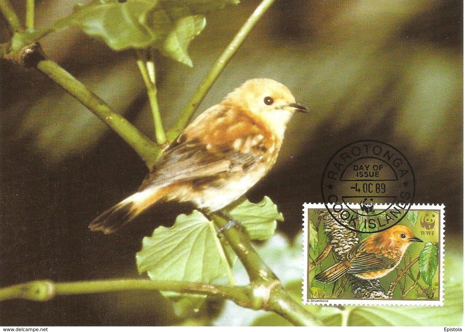 1989 - COOK ISLANDS - Rarotonga Flycatcher - Oiseau Mouche WWF - Cook